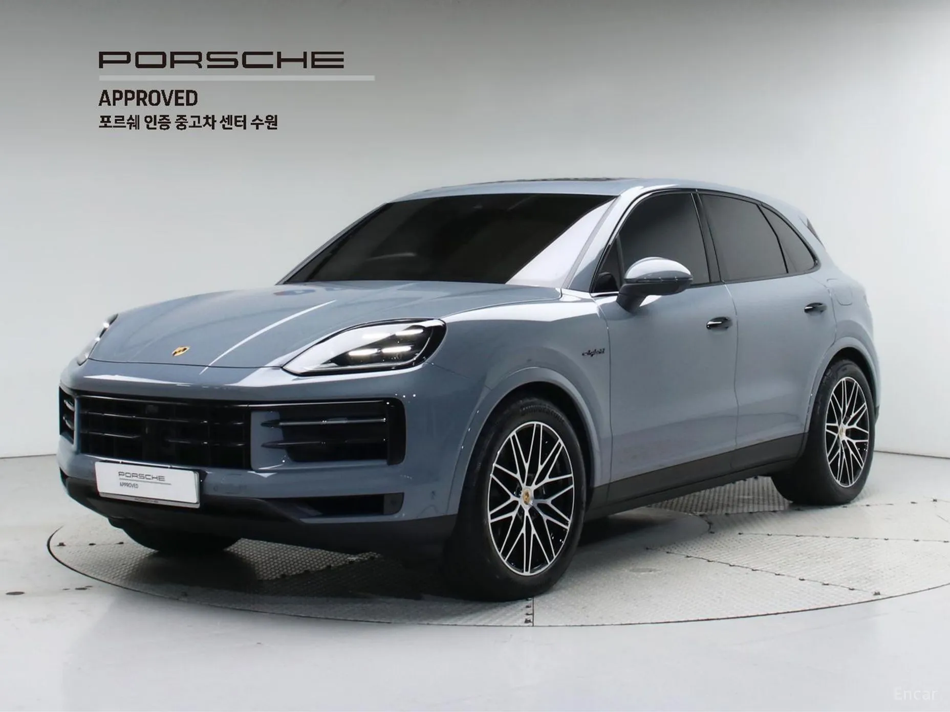 Cayenne (PO536)