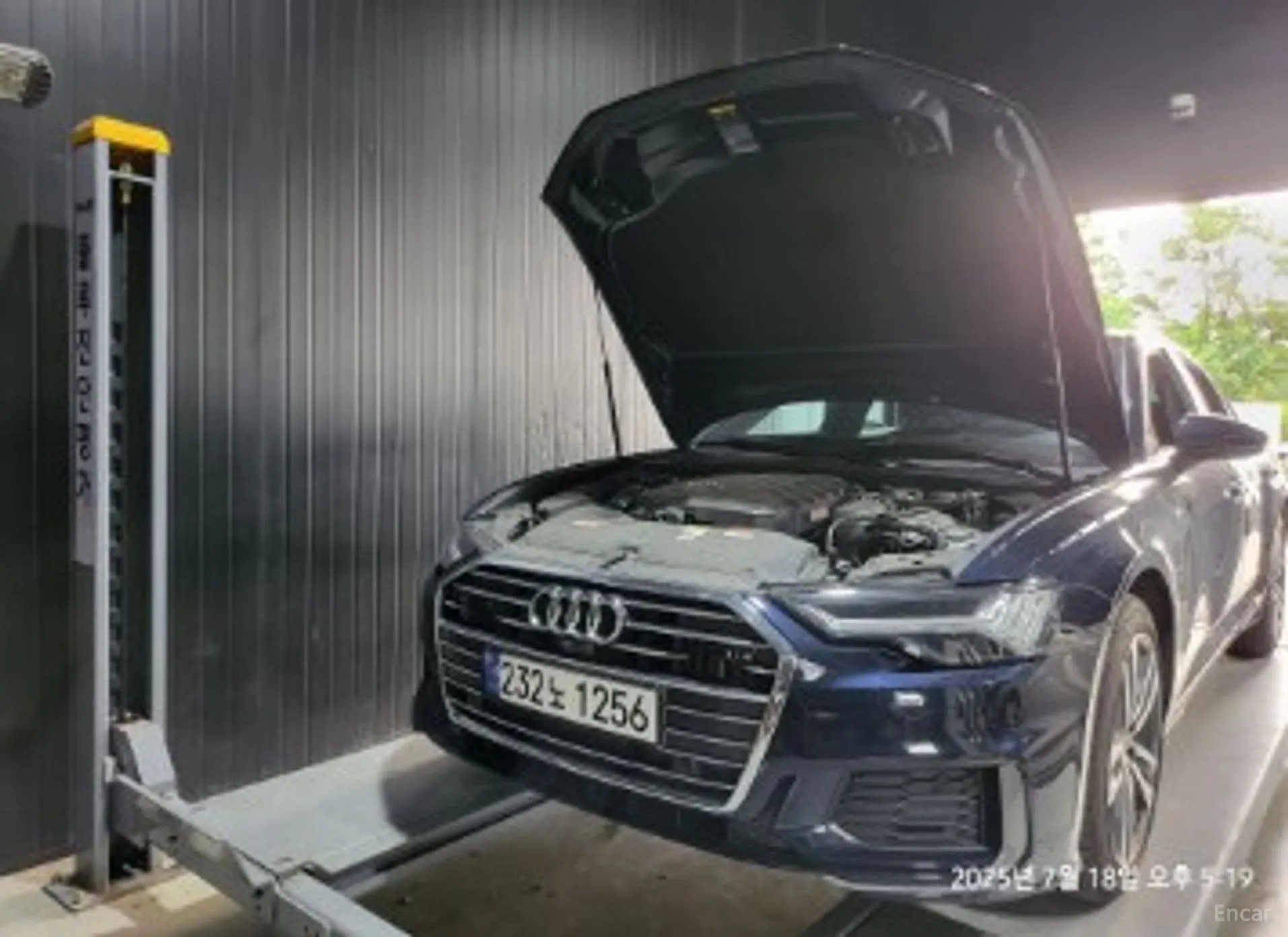 A6 (C8)