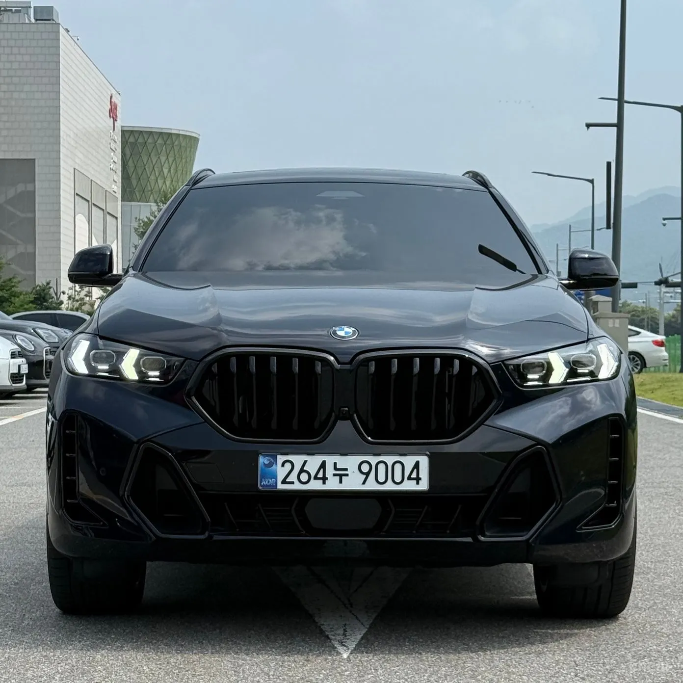 BMW X6 (G06) превью 2