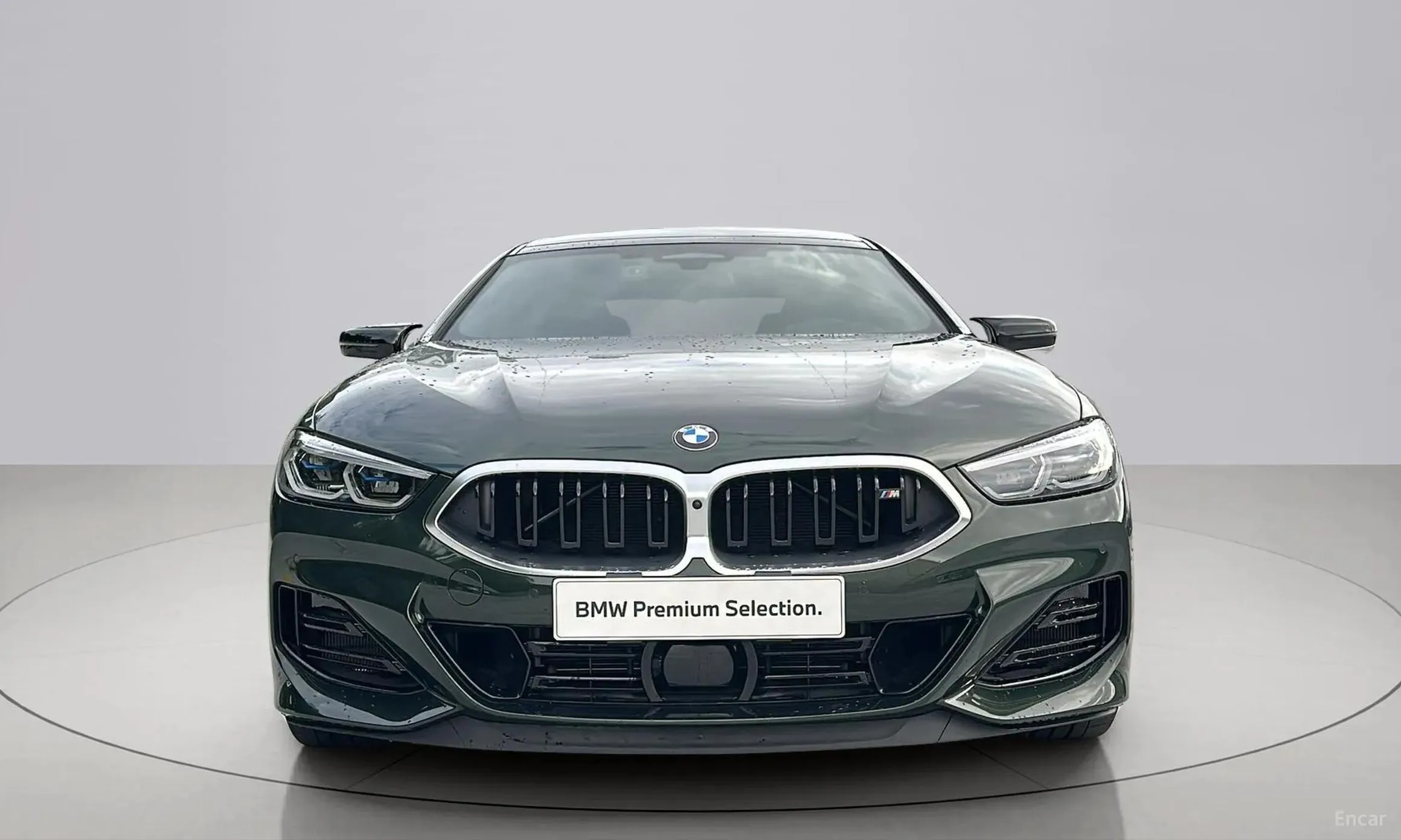 BMW 8-series (G15)
