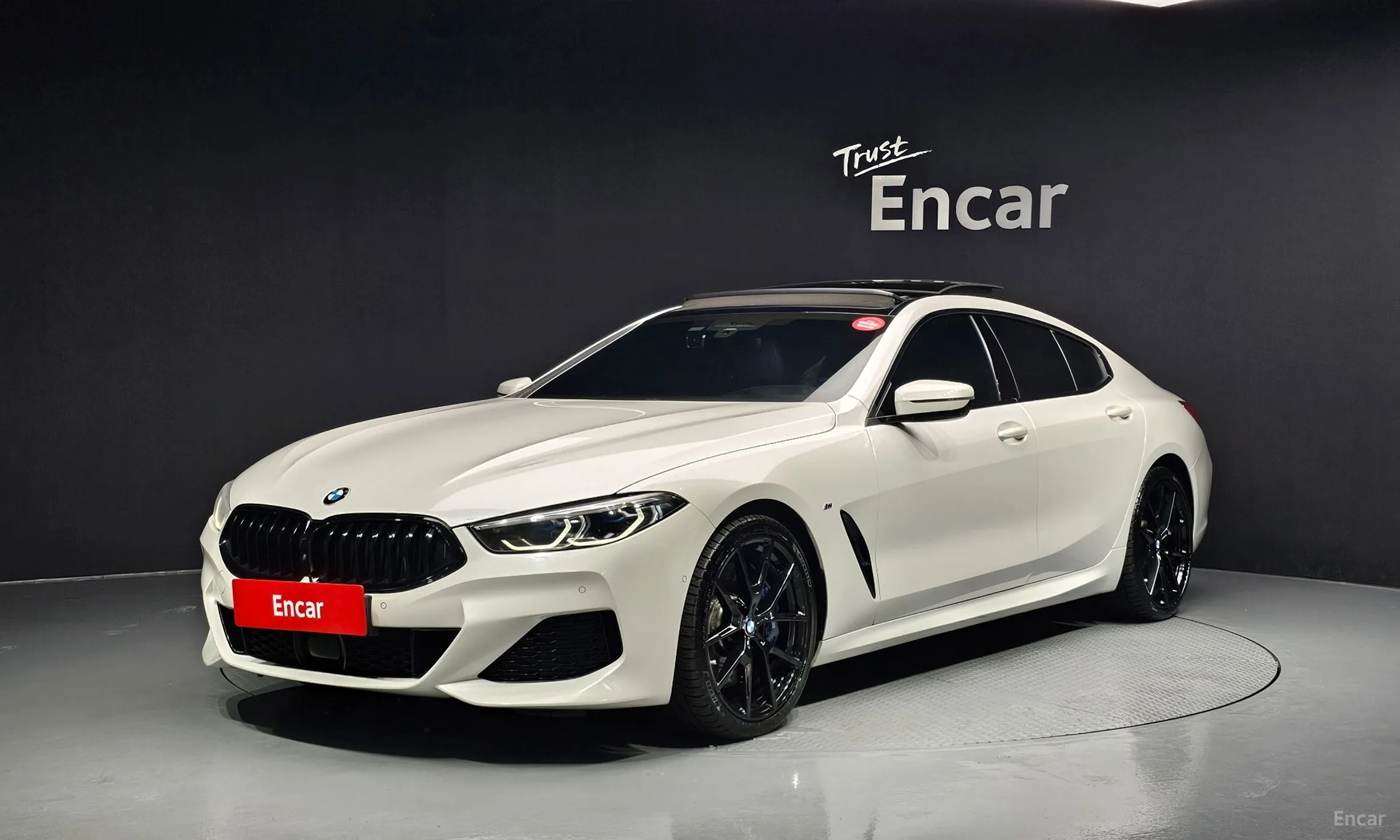 BMW 8-series (G15)
