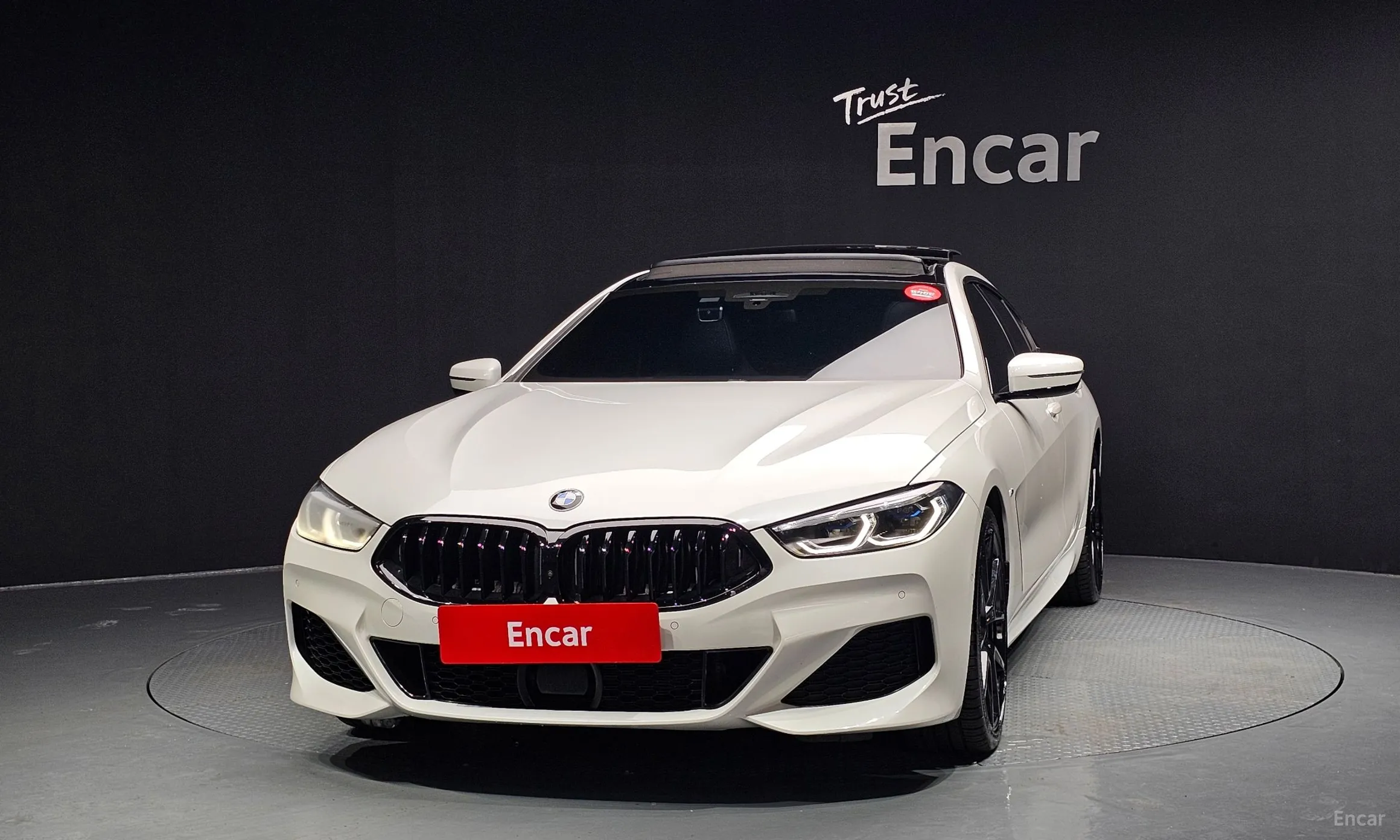 BMW 8-series (G15)