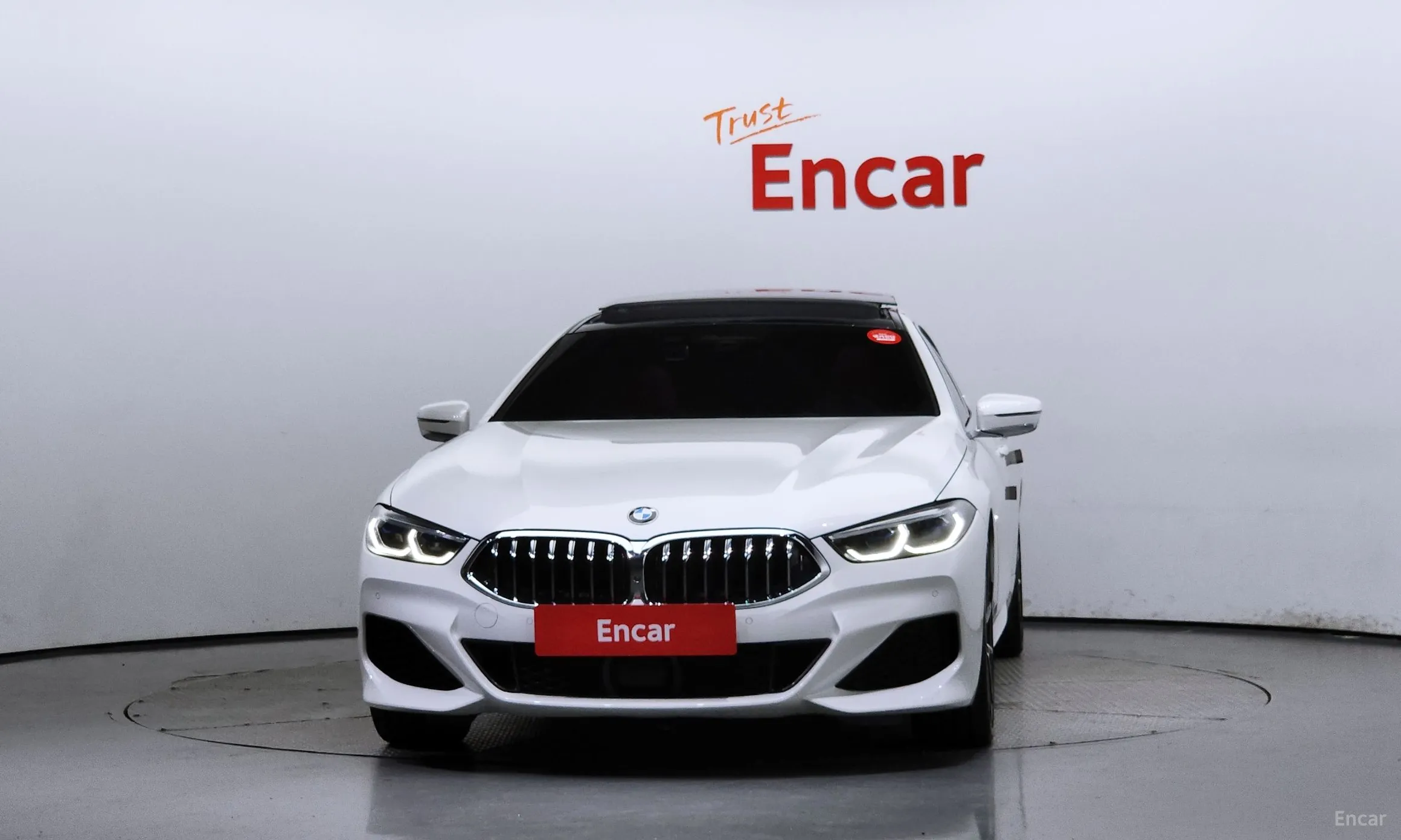 BMW 8-series (G15)