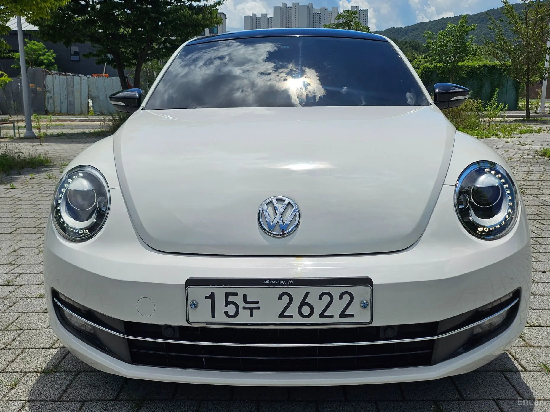 The Beetle