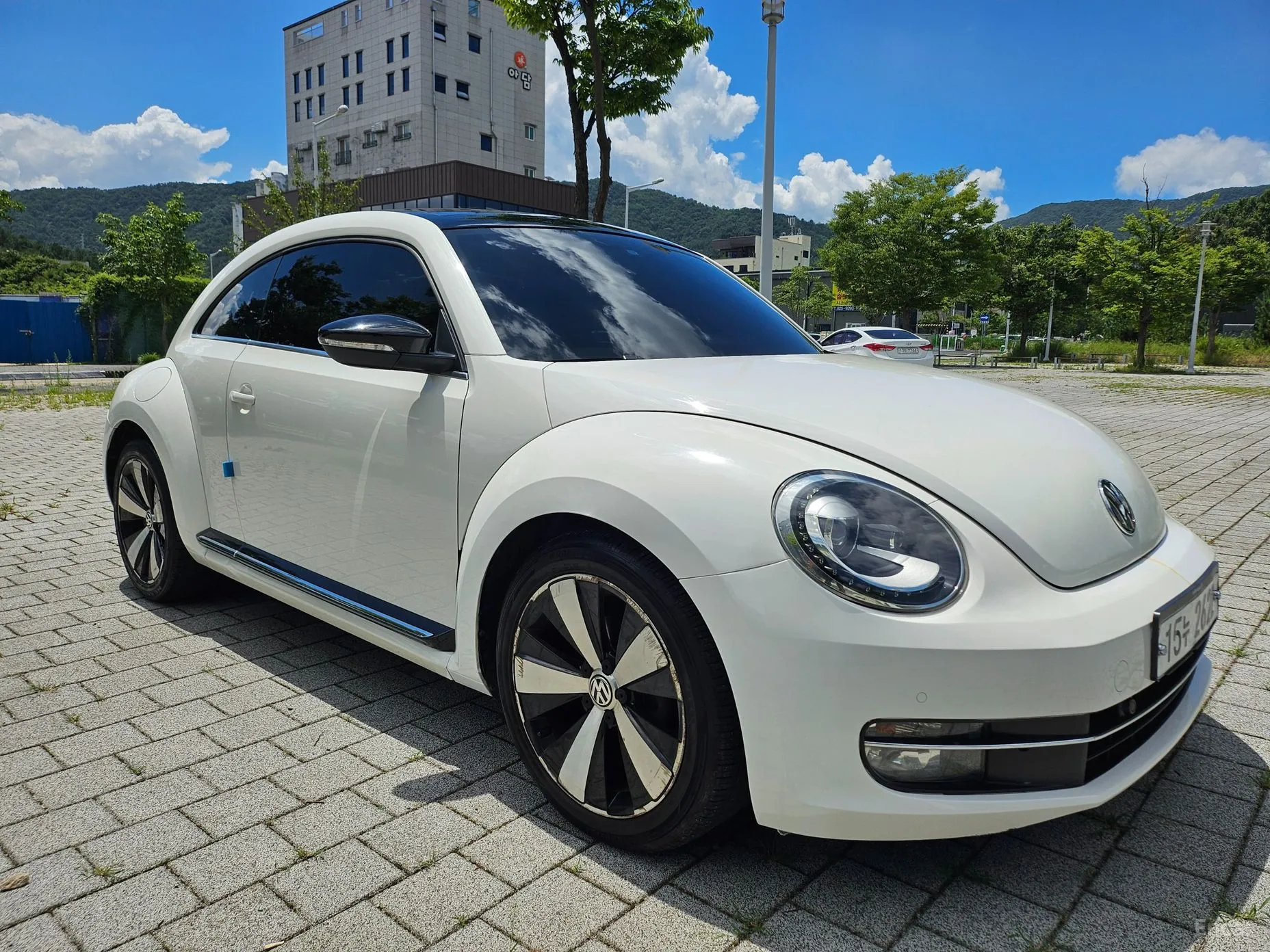 Volkswagen The Beetle