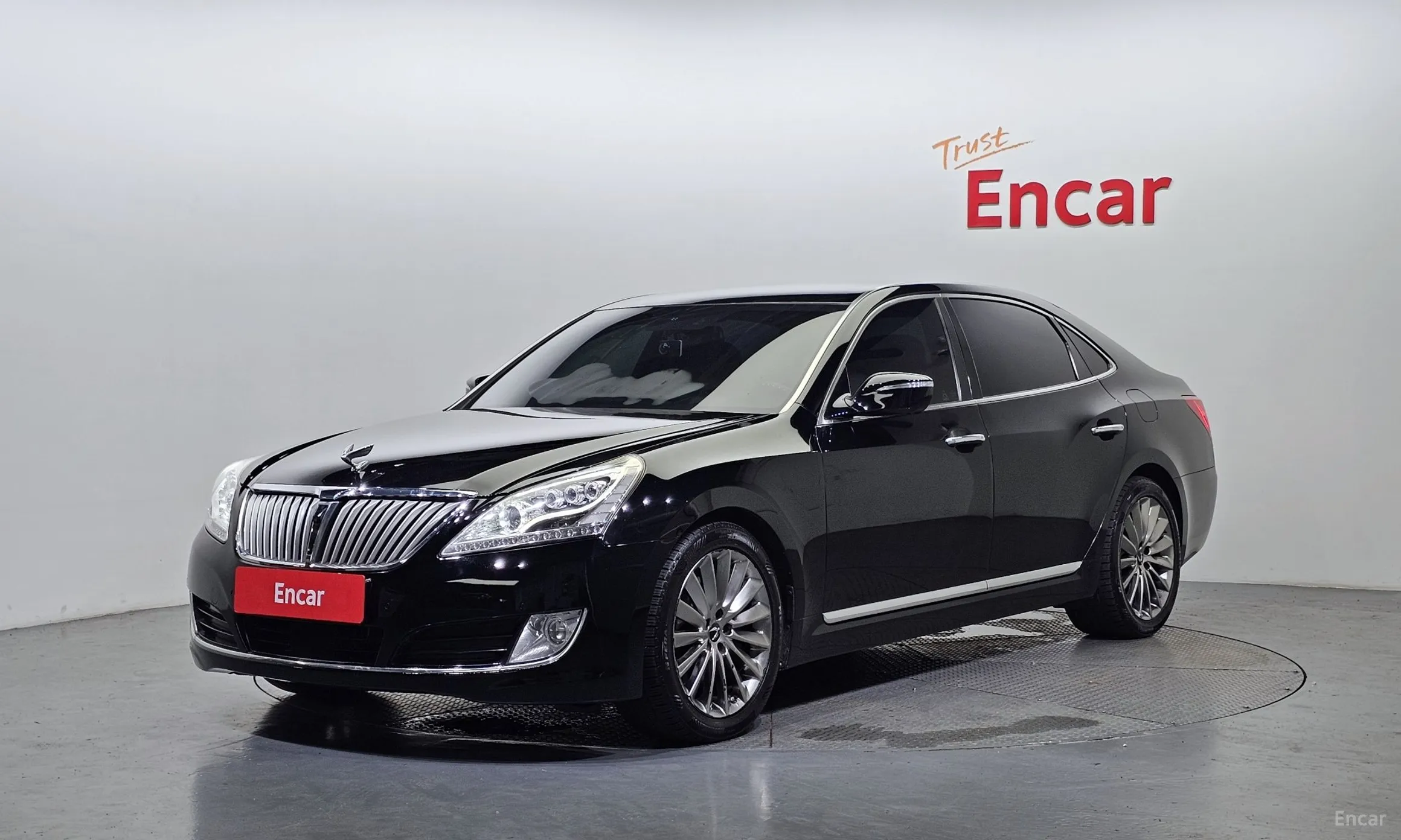 Equus (new)