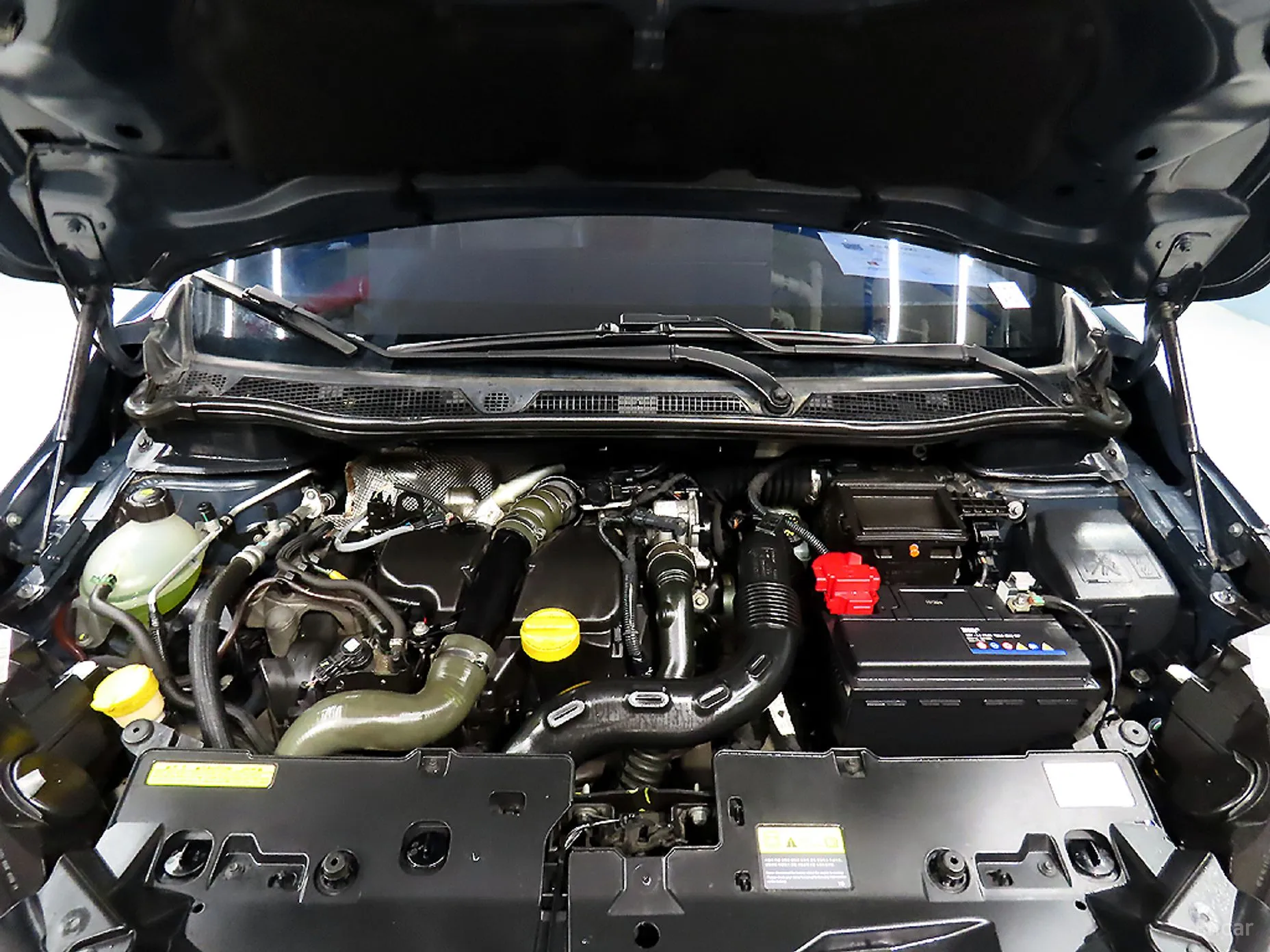 Renault Korea (Samsung) QM3 превью 19
