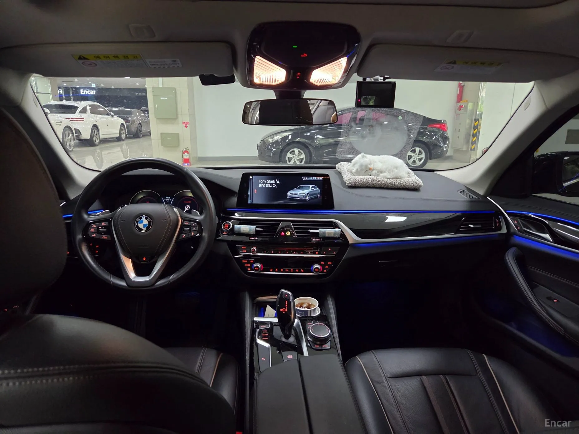 BMW 5 Series (G30) превью 4