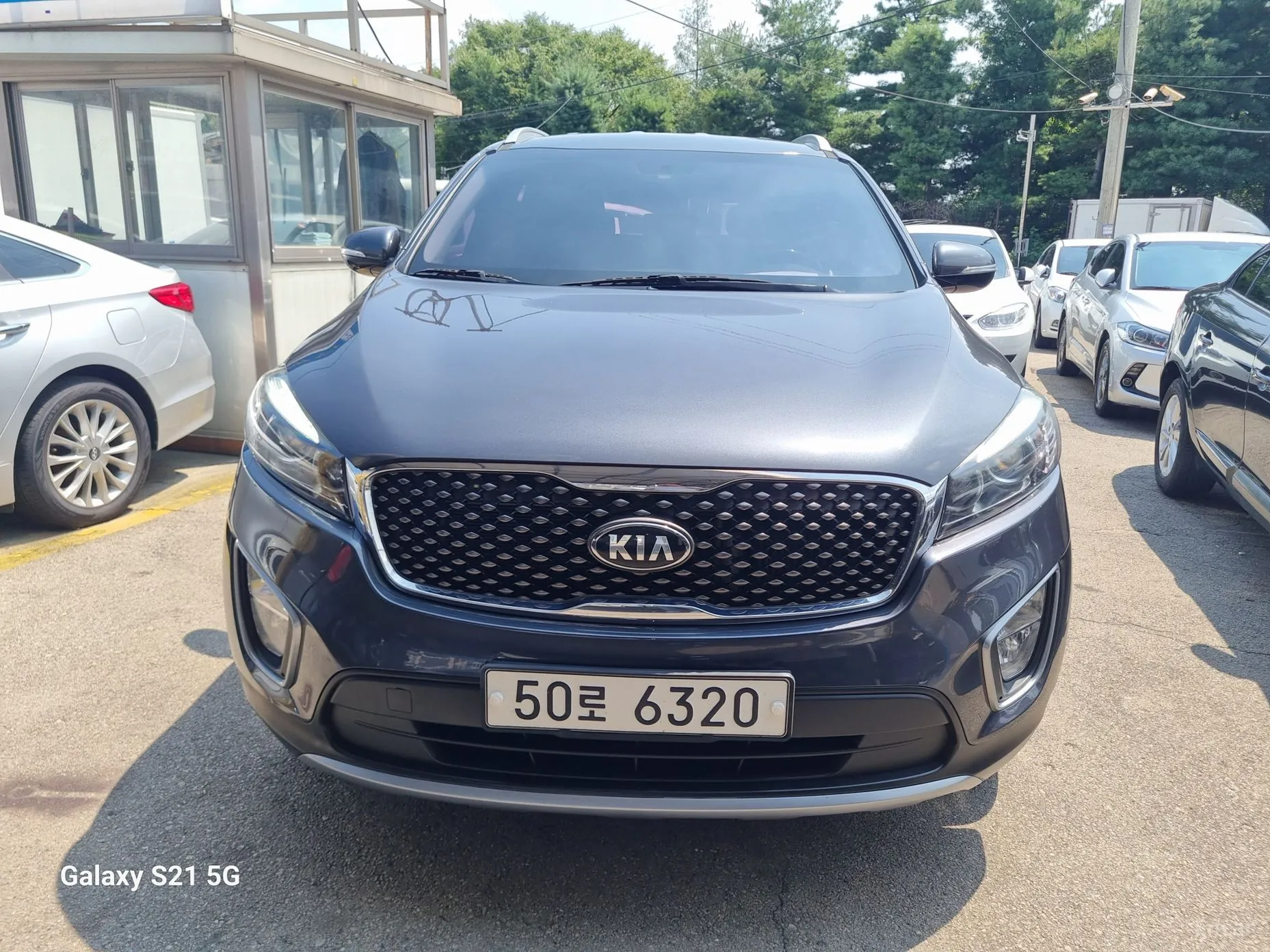 Sorento