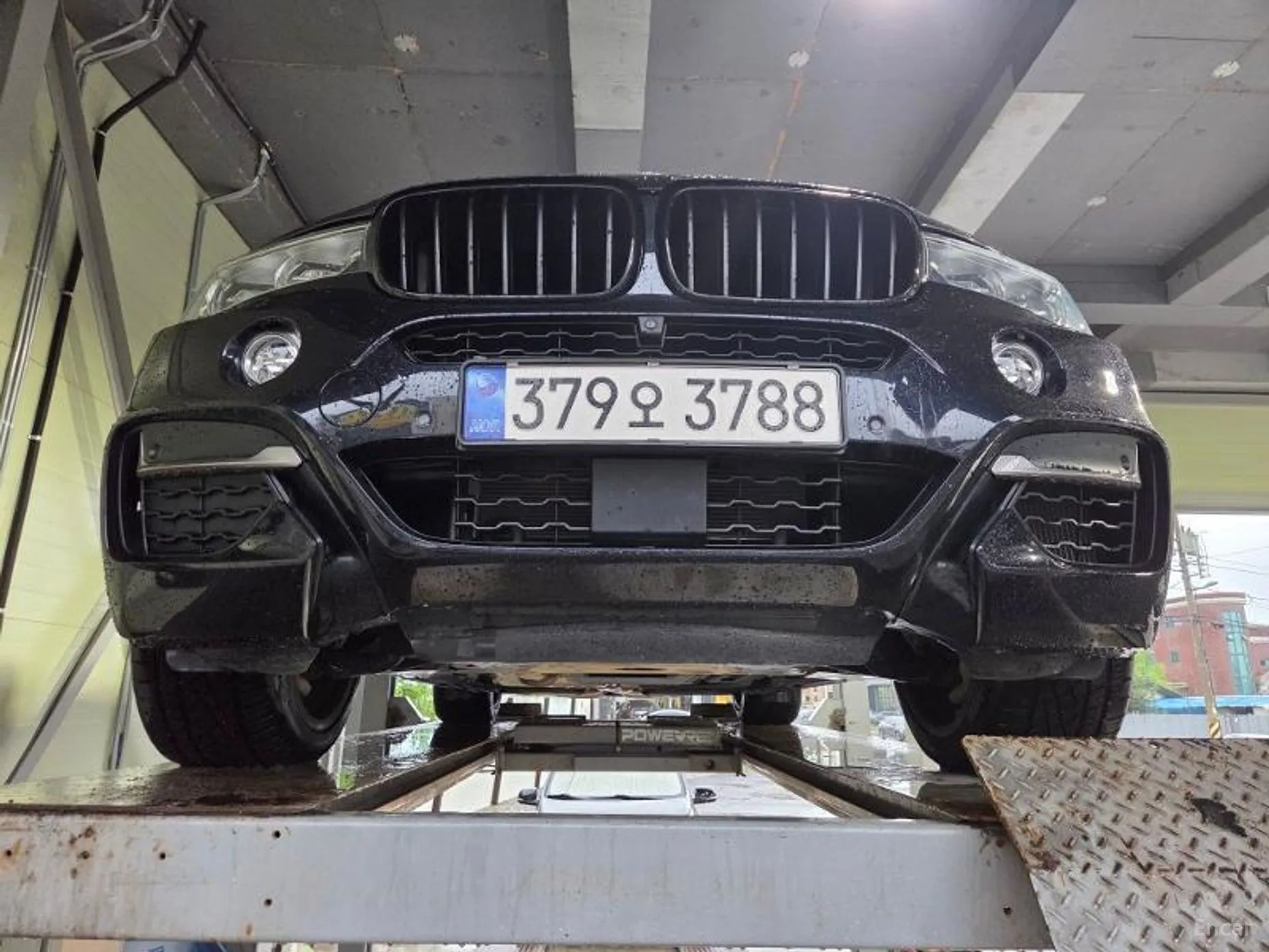 X6 (F16)