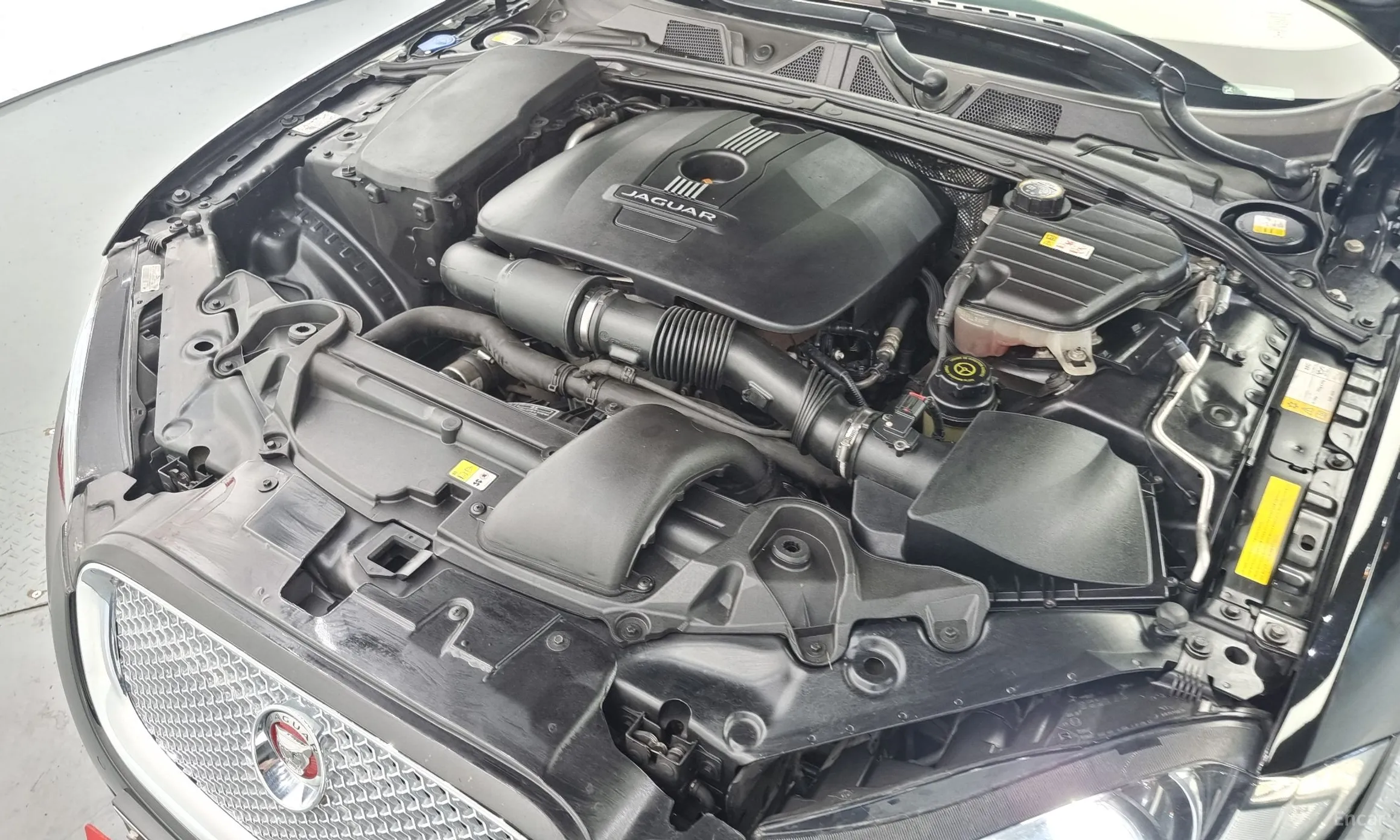 Jaguar New XF превью 6