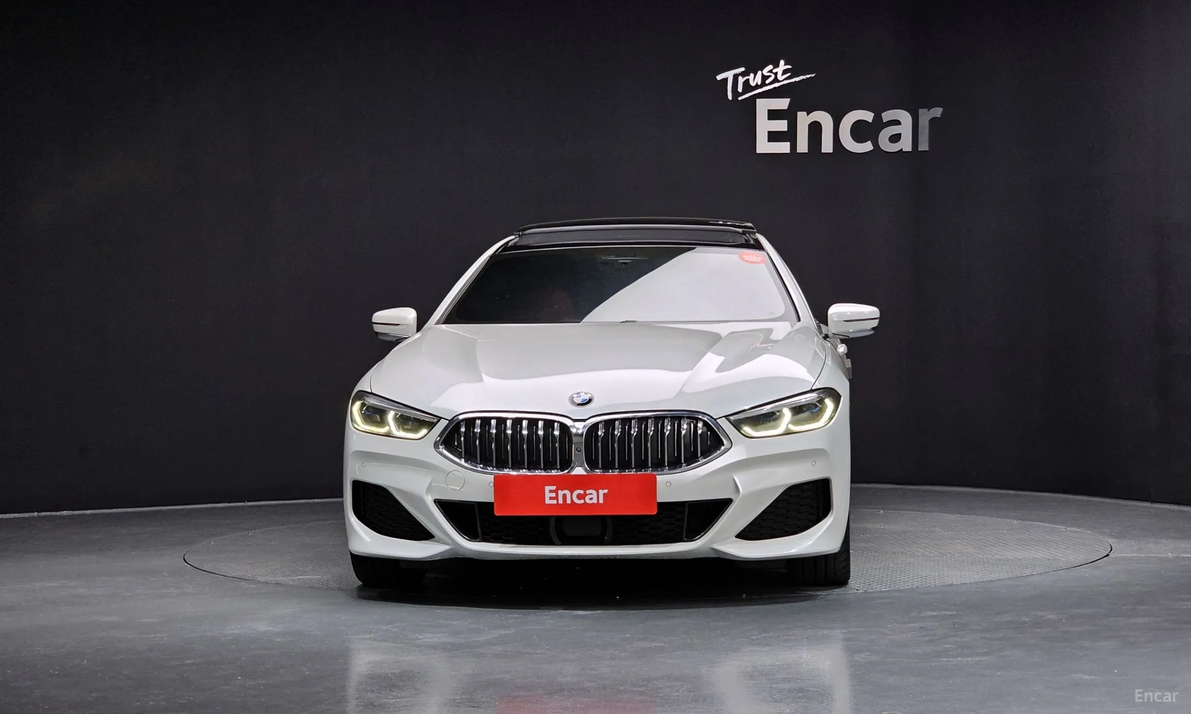 BMW 8-series (G15) превью 2