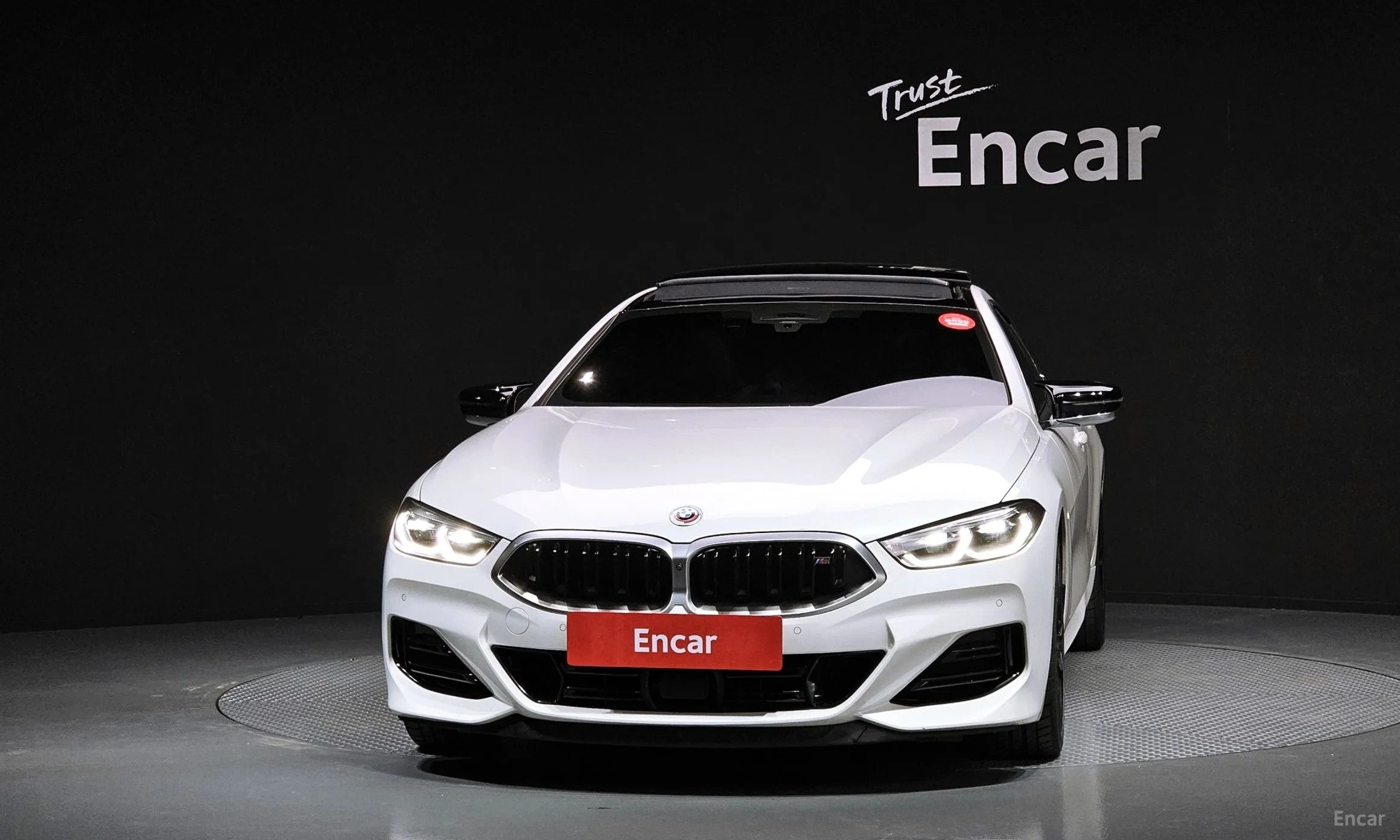 BMW 8-series (G15)
