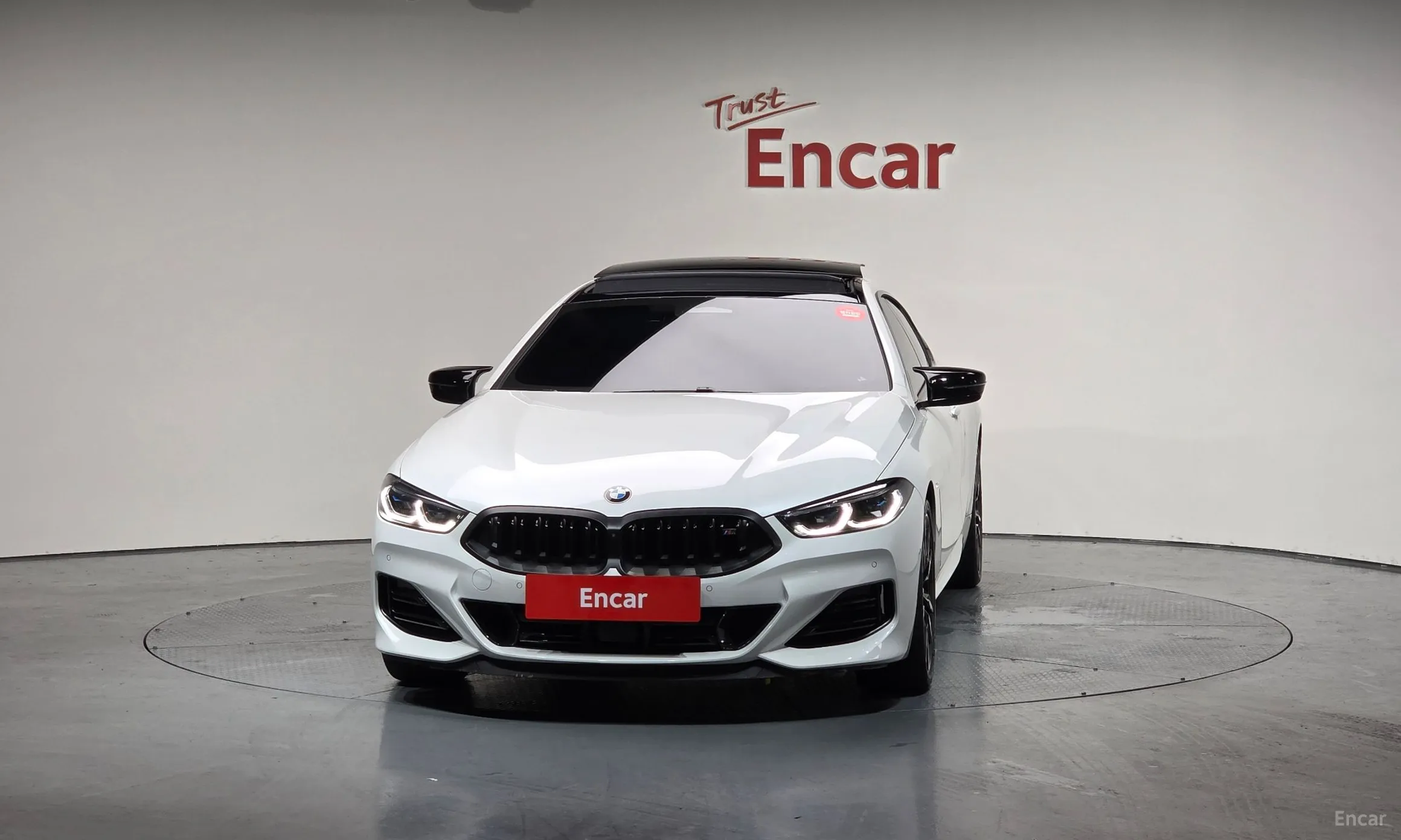 BMW 8-series (G15)