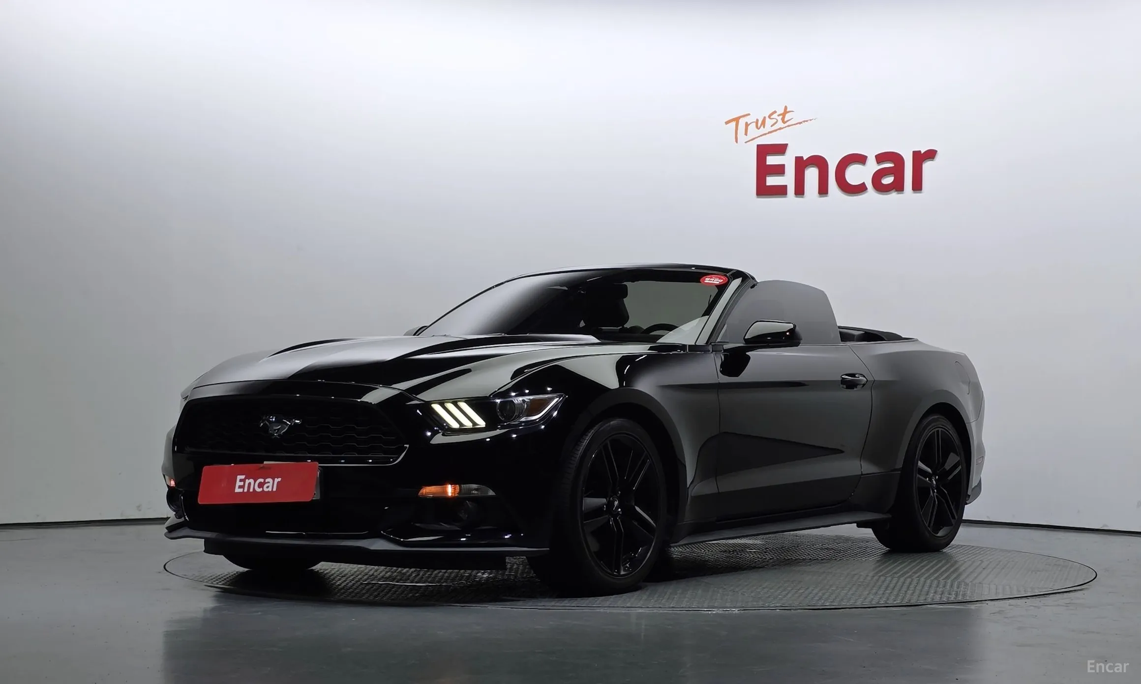 Mustang
