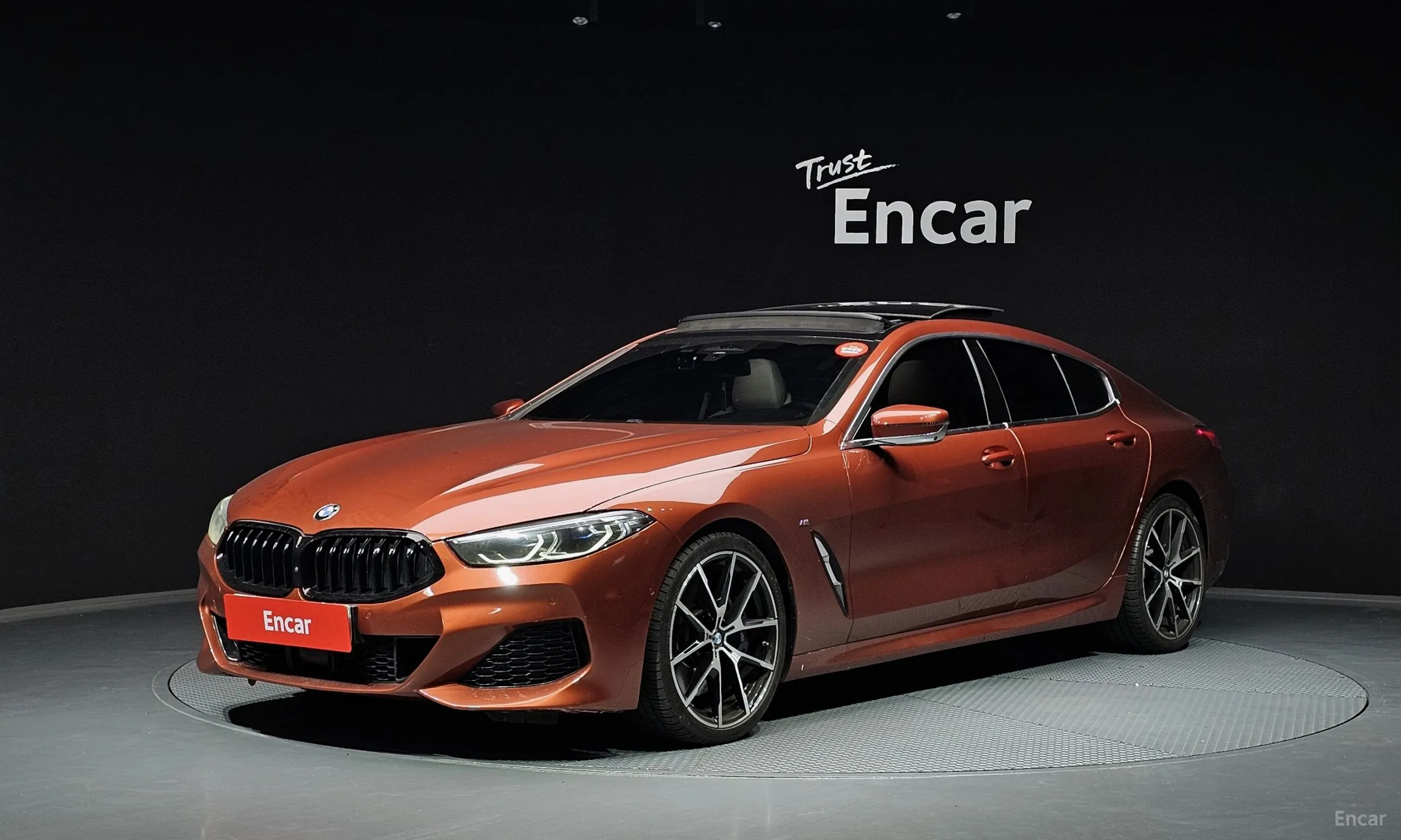 BMW 8-series (G15)