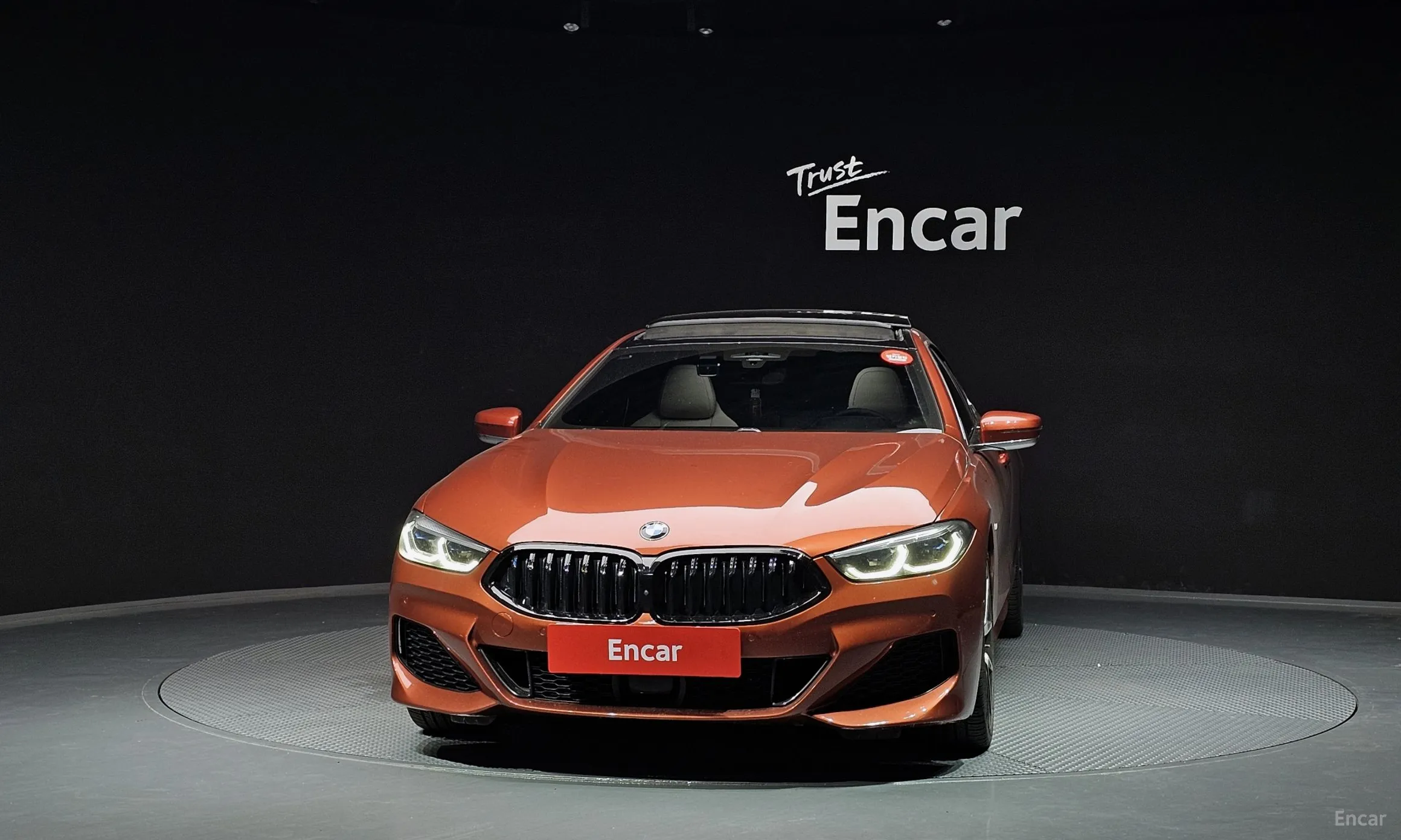 BMW 8-series (G15)