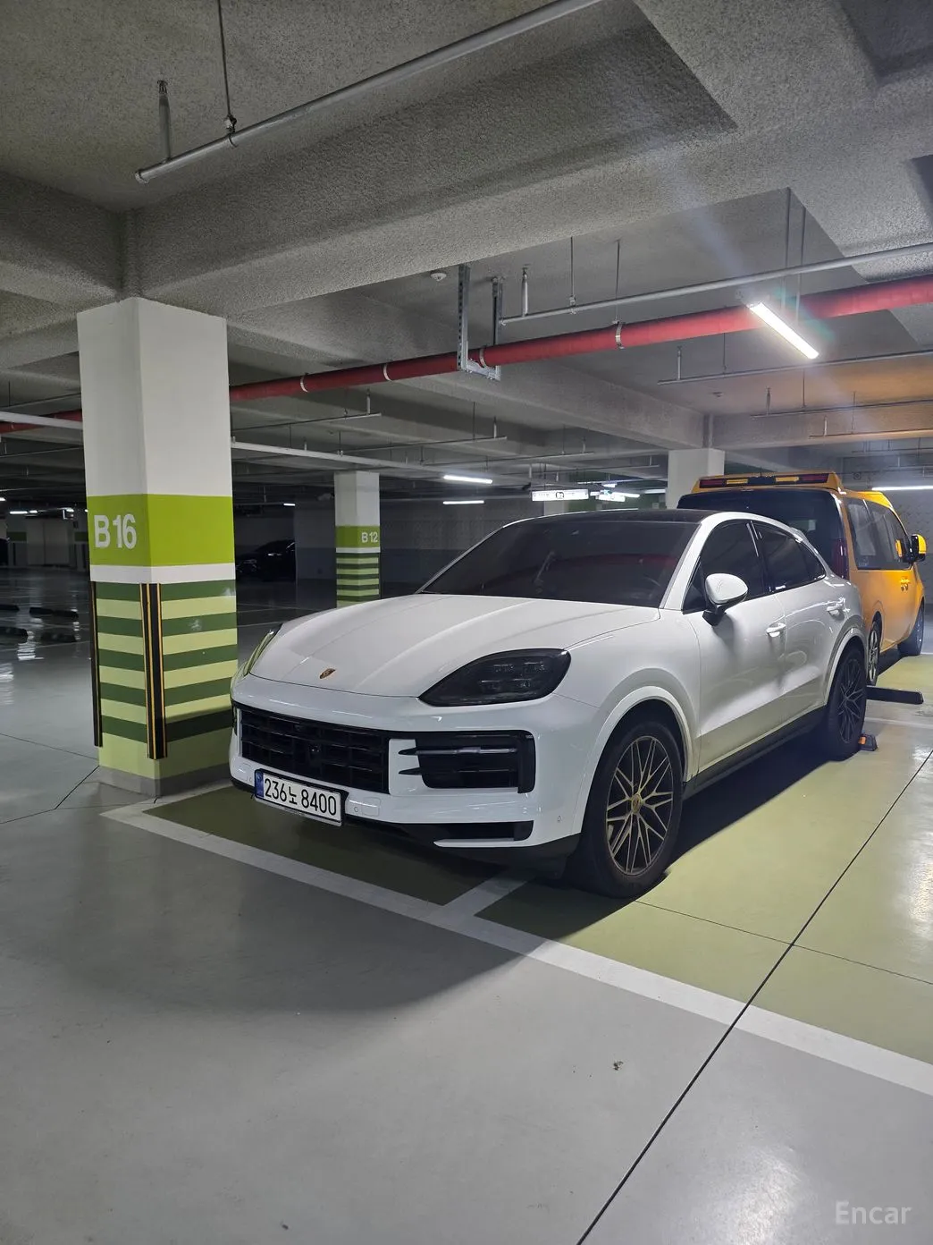 Cayenne (PO536)