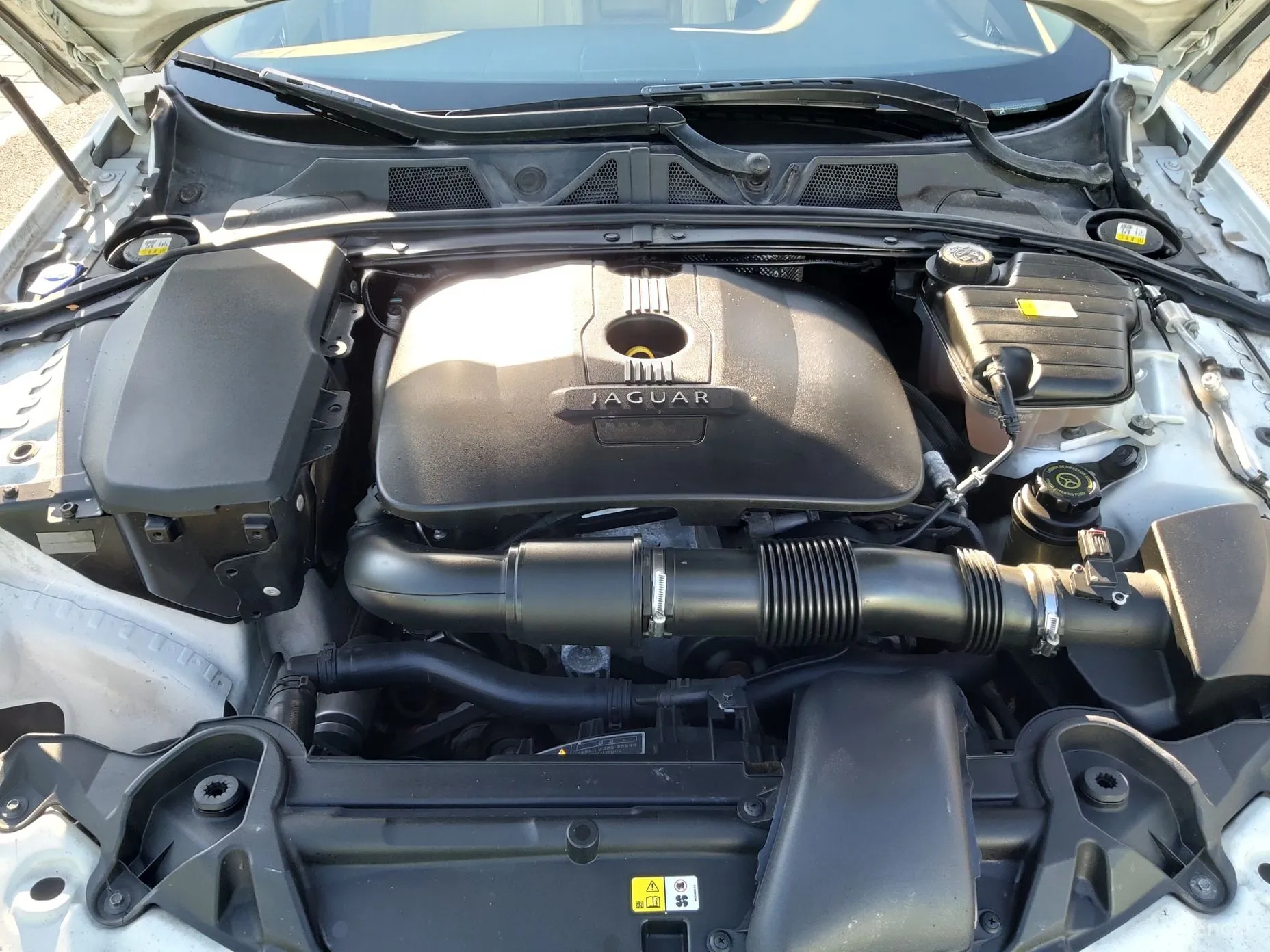 Jaguar New XF превью 18