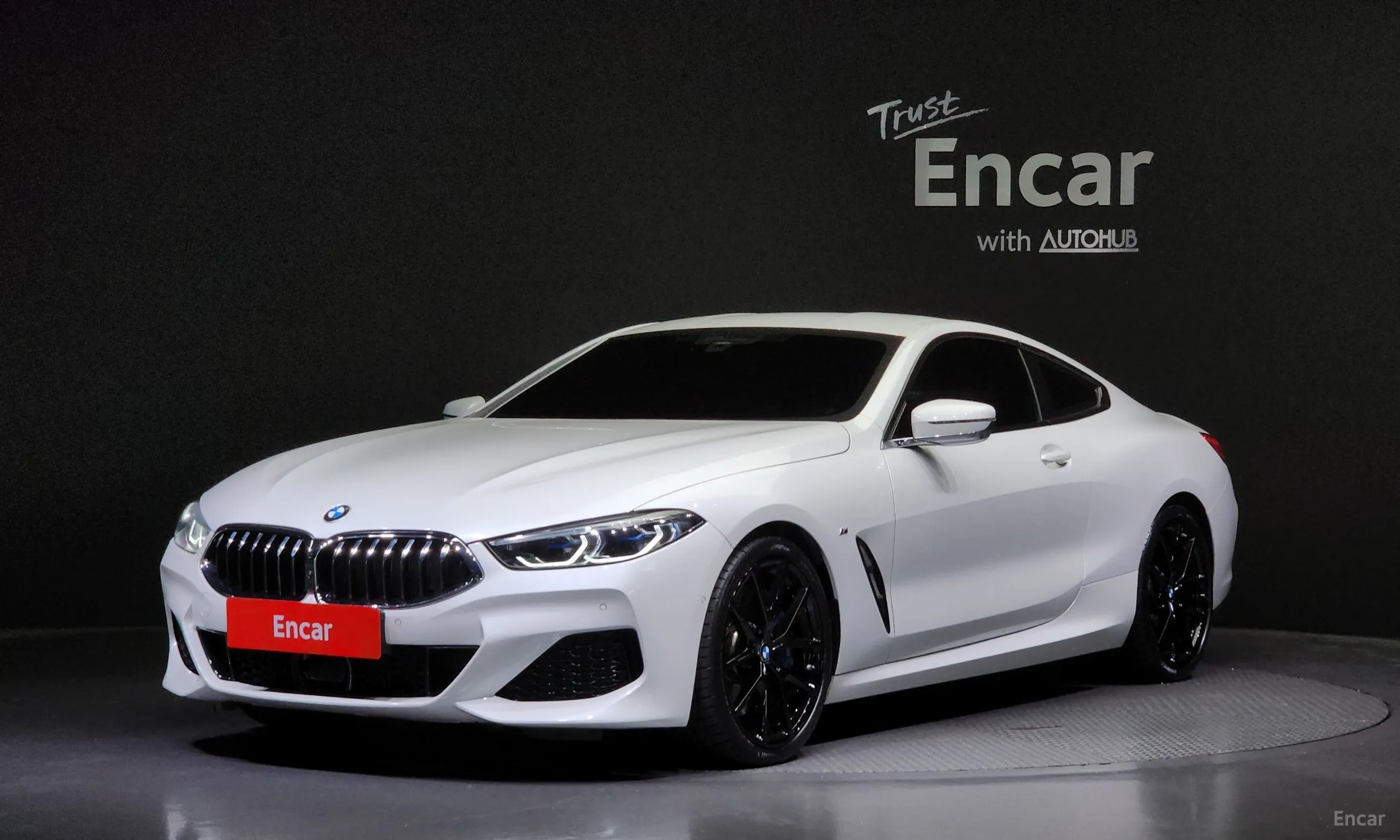 BMW 8-series (G15)