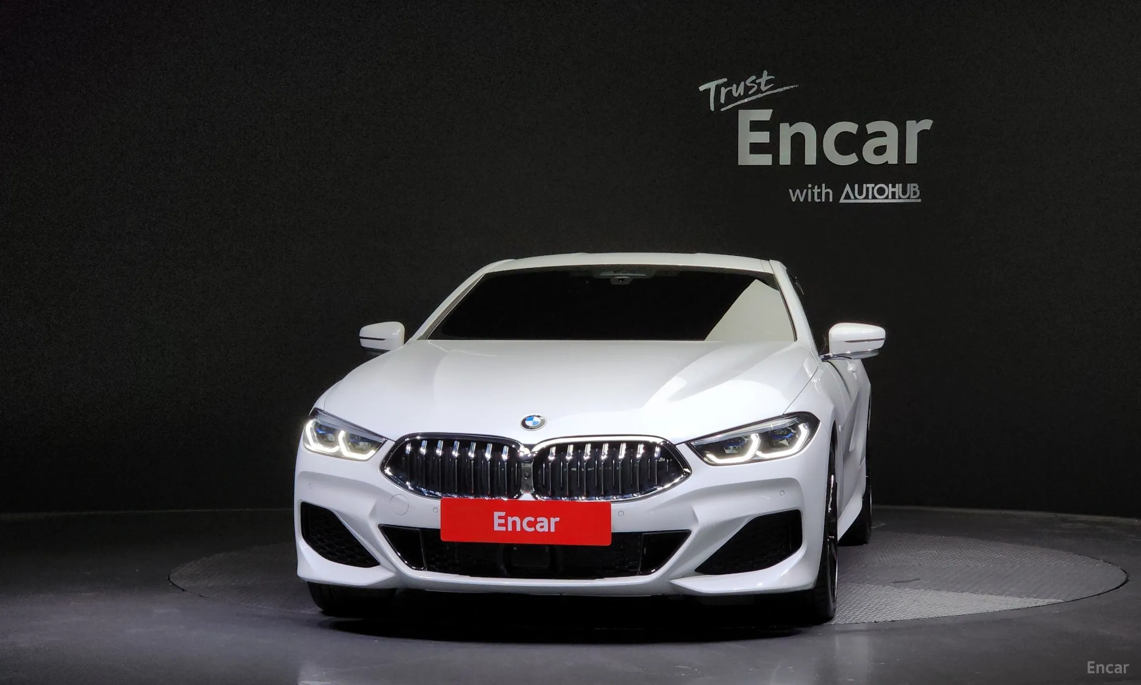 BMW 8-series (G15)