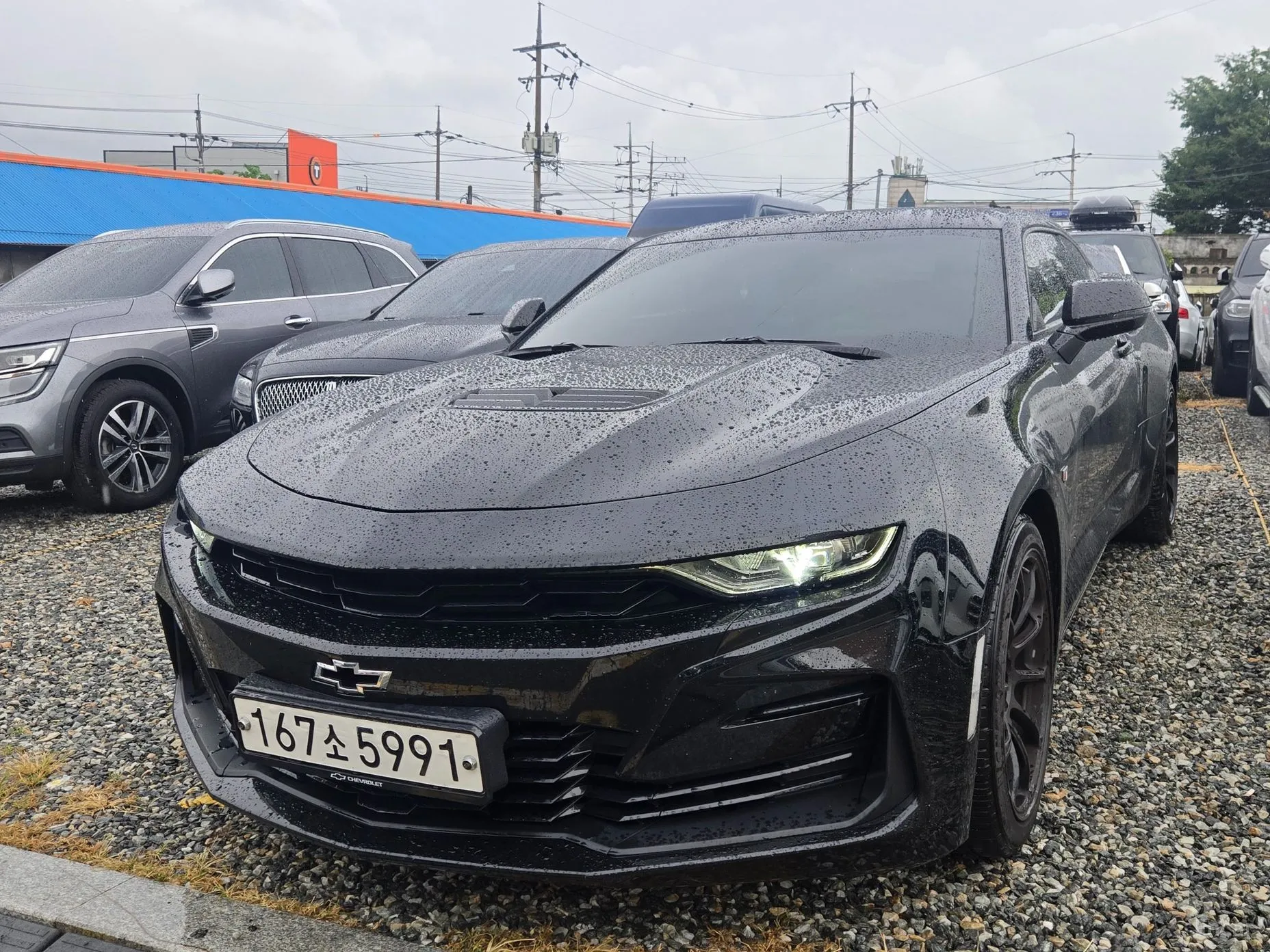 Chevrolet (GM Daewoo) Camaro