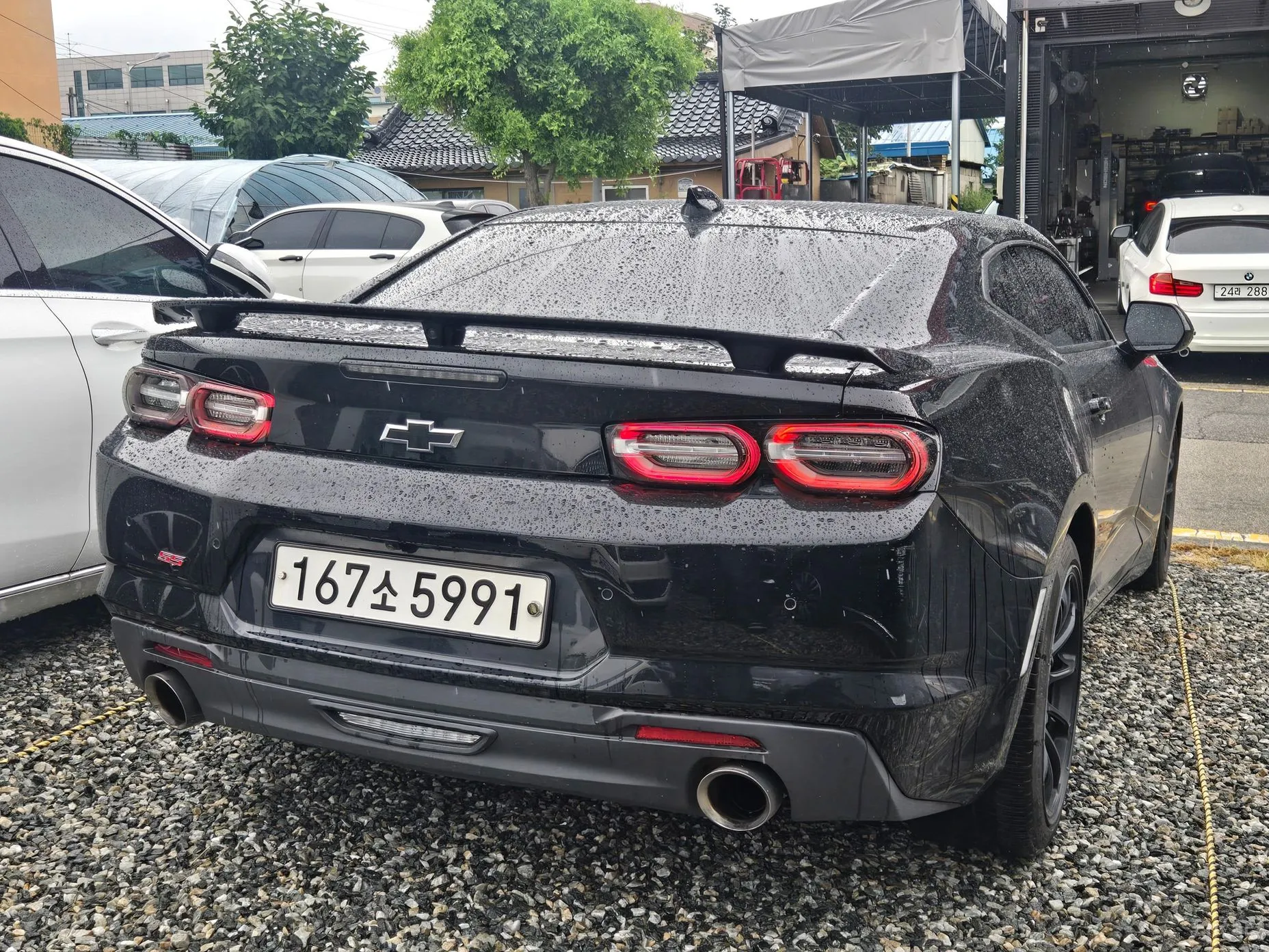 Chevrolet (GM Daewoo) Camaro
