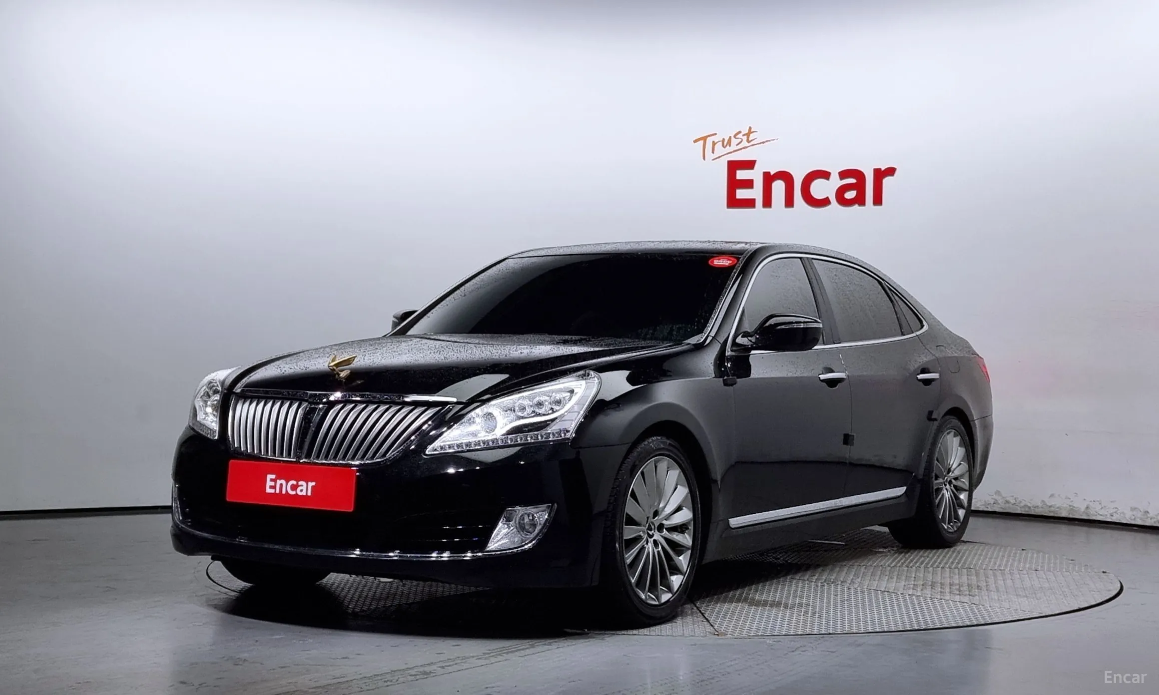 Equus (new)