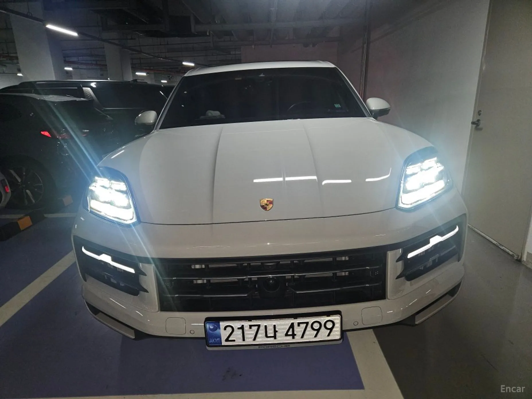 Cayenne (PO536)