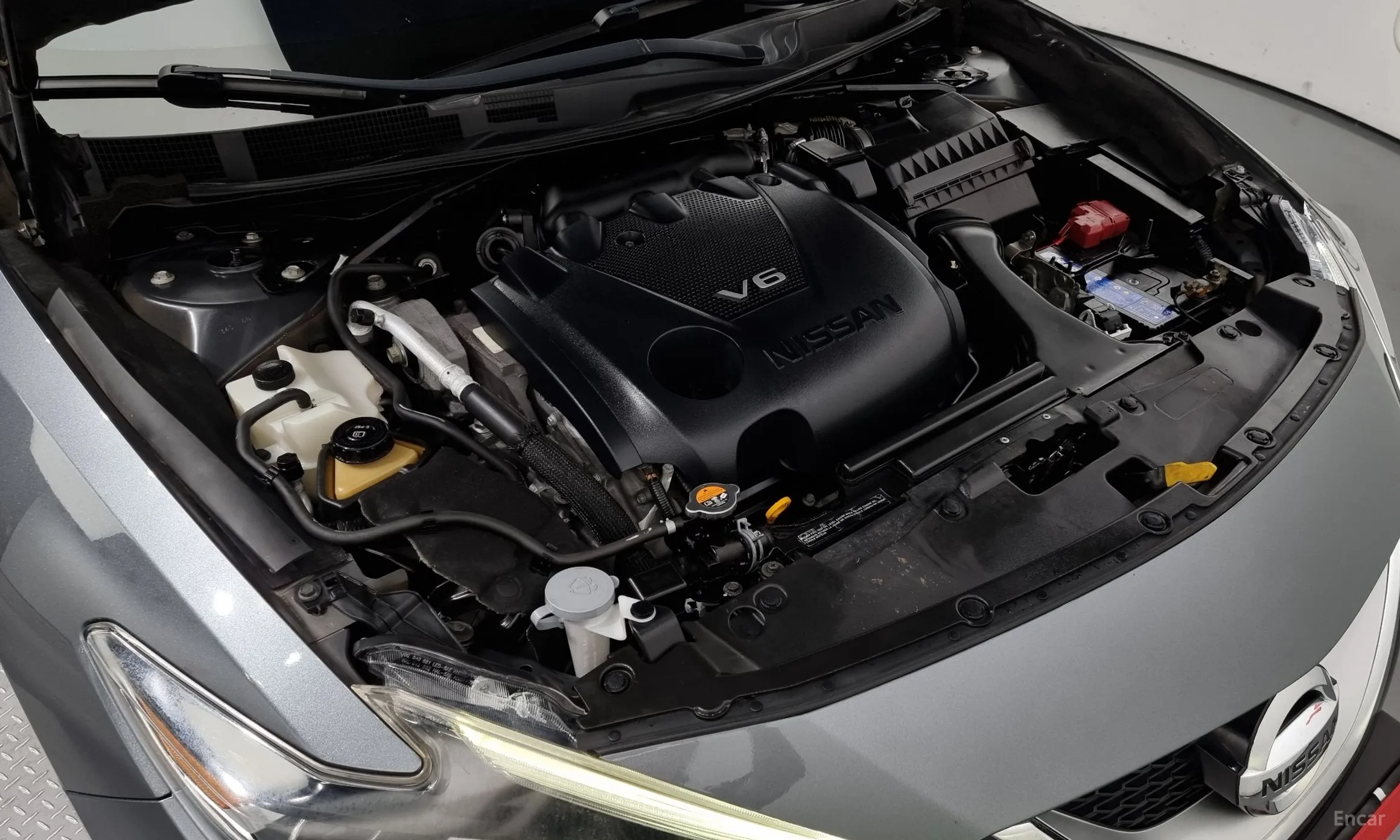 Nissan Maxima (A36) превью 6