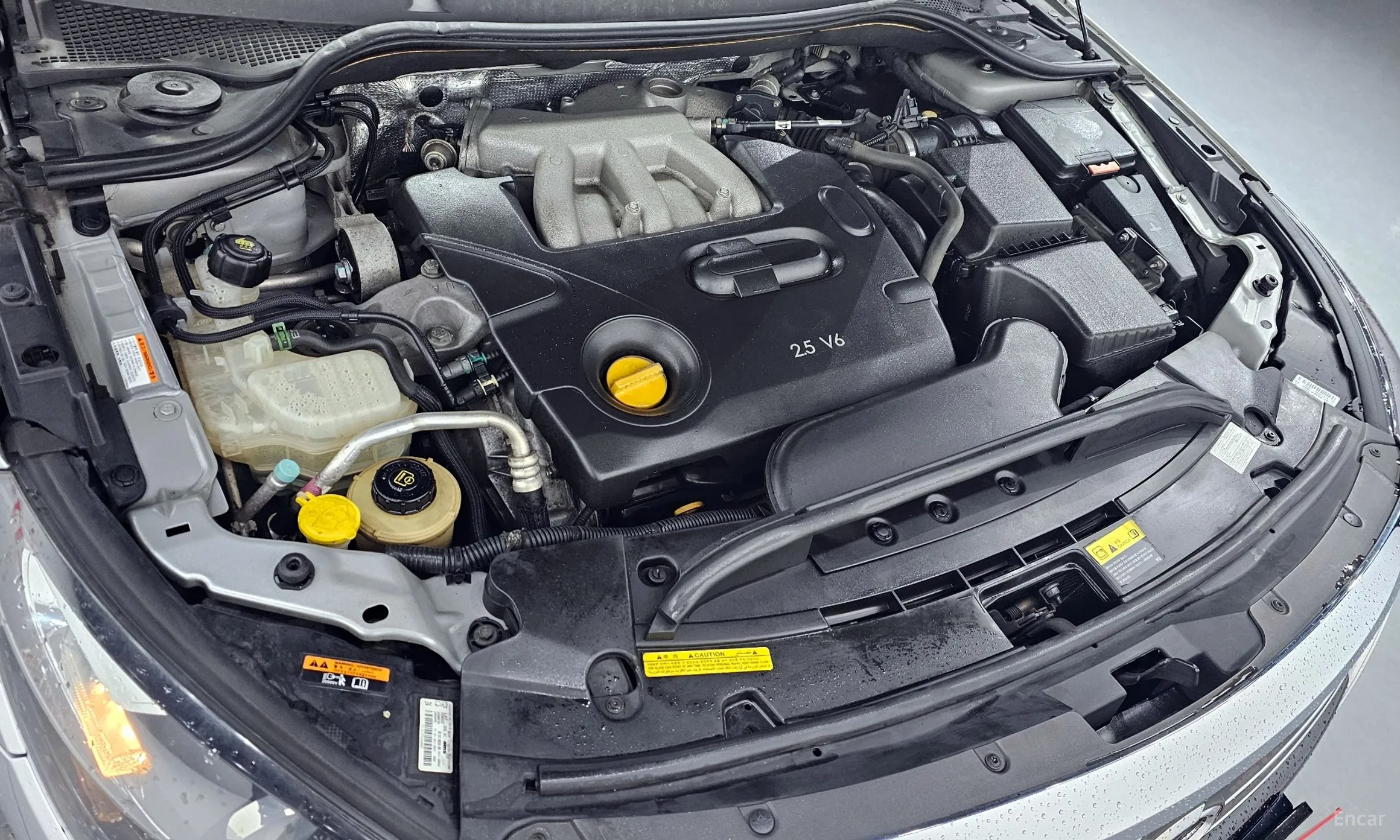 Renault Korea (Samsung) SM7 превью 6