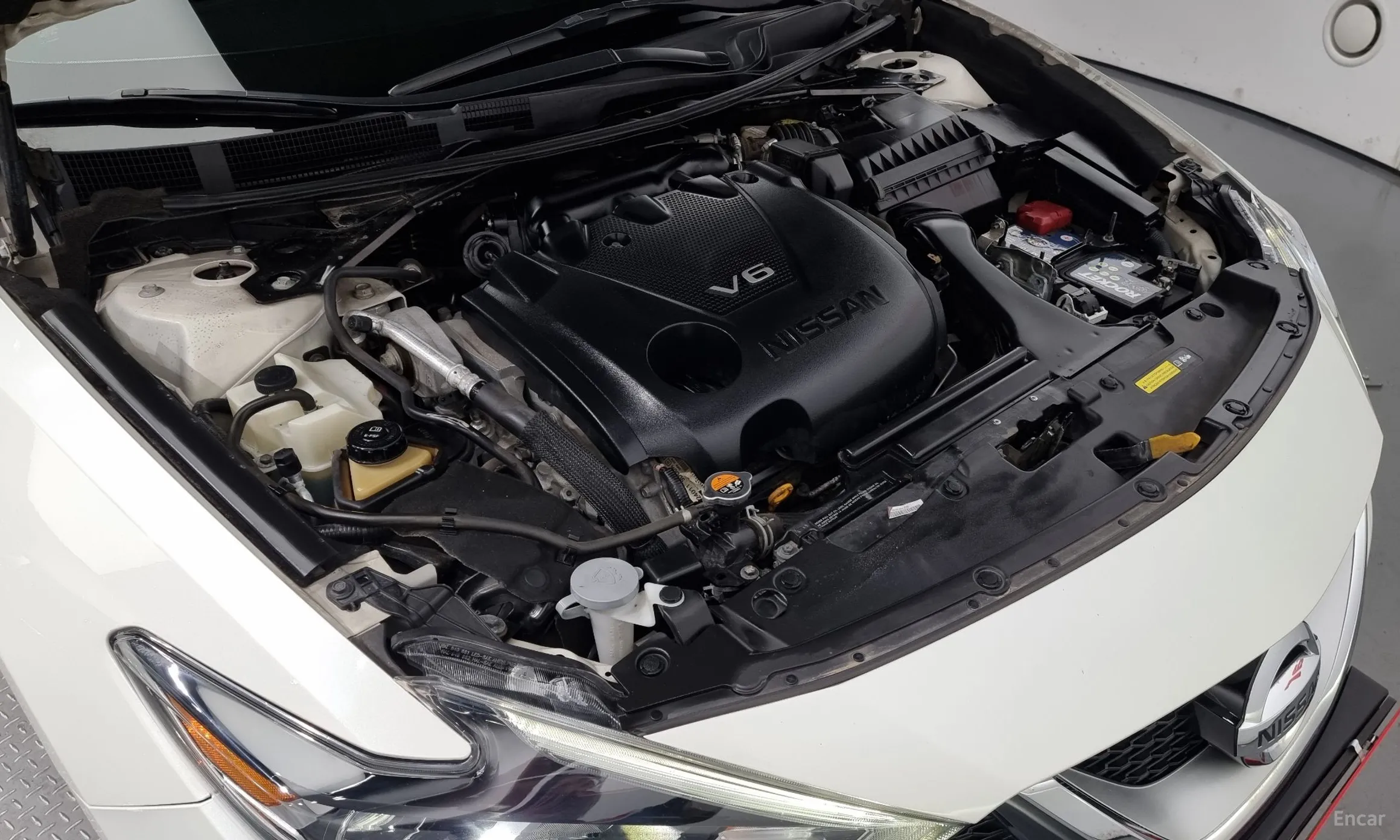 Nissan Maxima (A36) превью 6