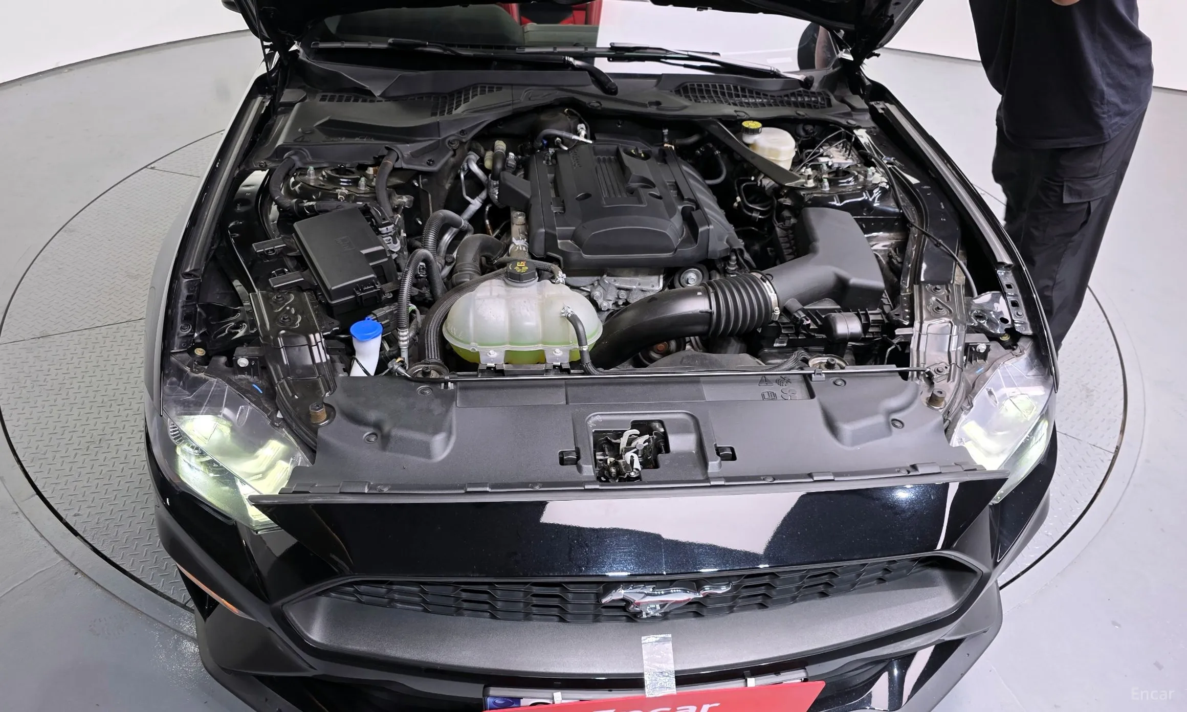 Ford Mustang превью 6