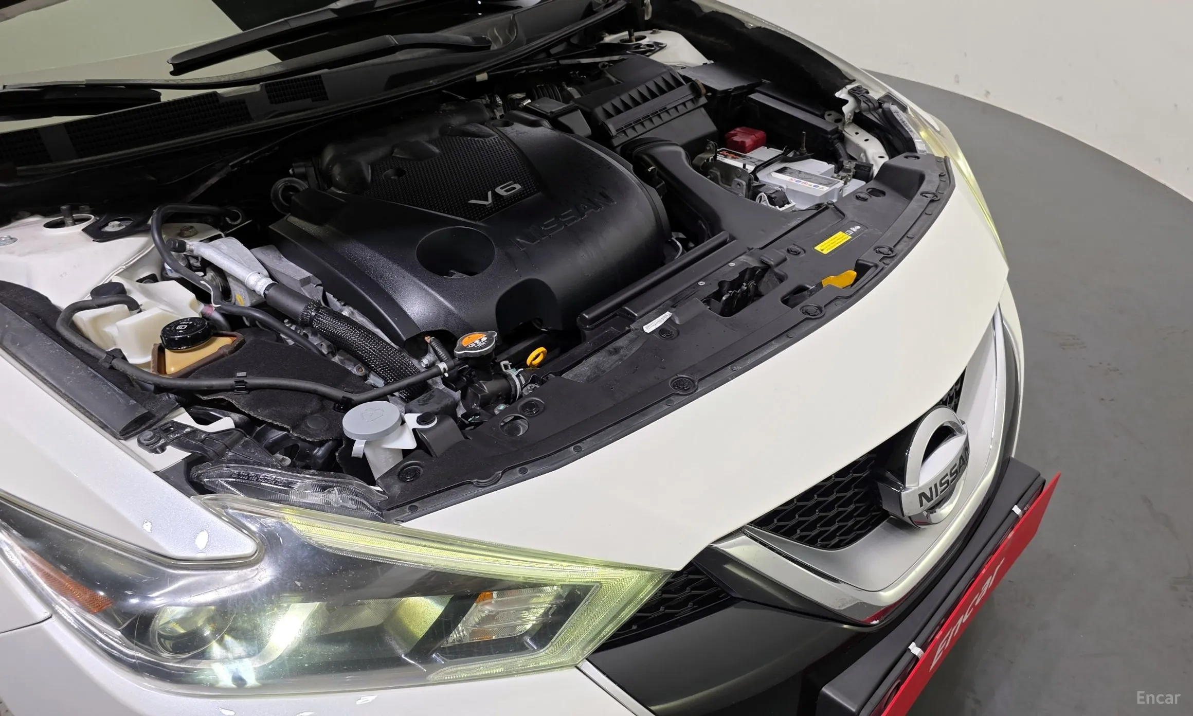 Nissan Maxima (A36) превью 6
