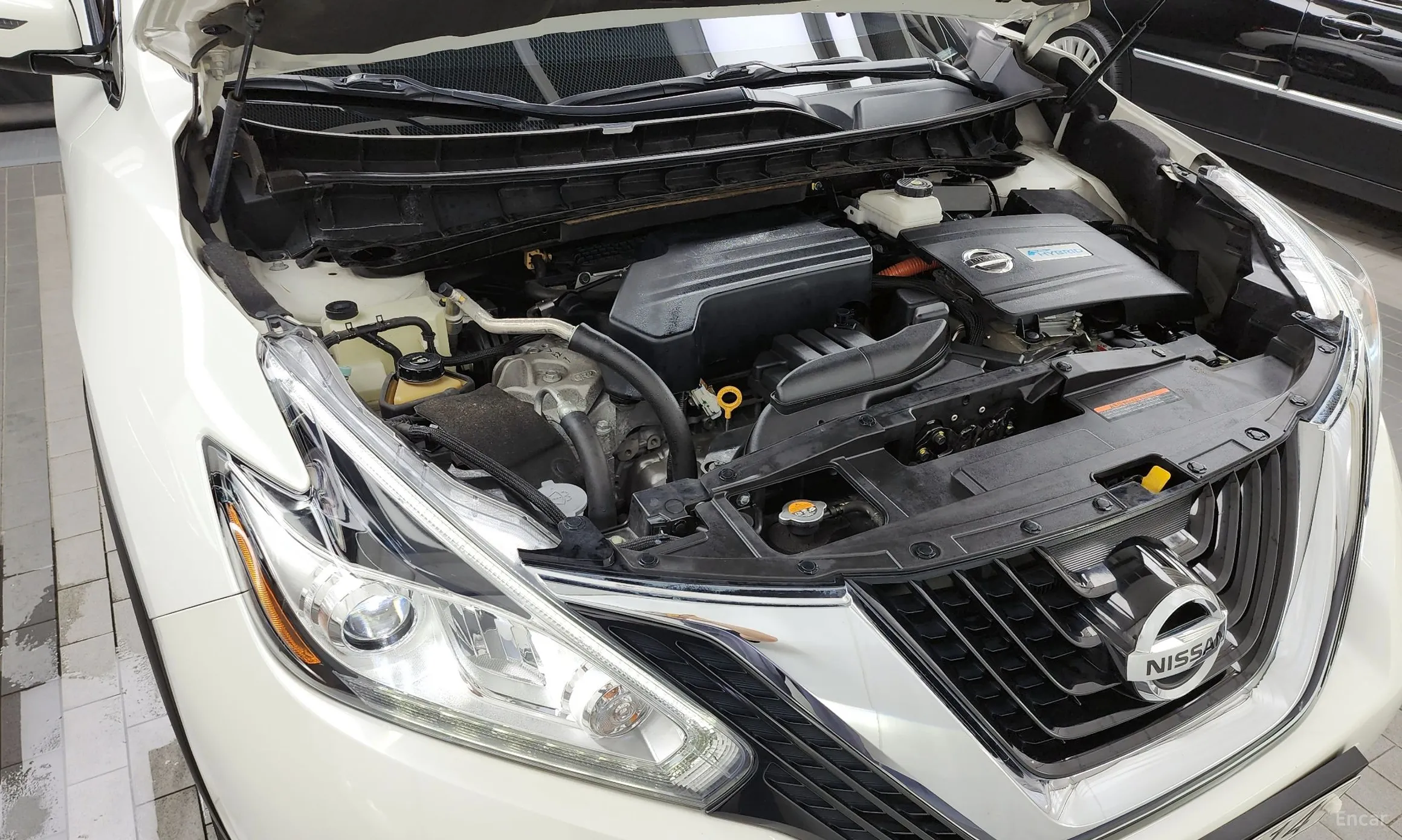 Nissan Murano (Z52) превью 6