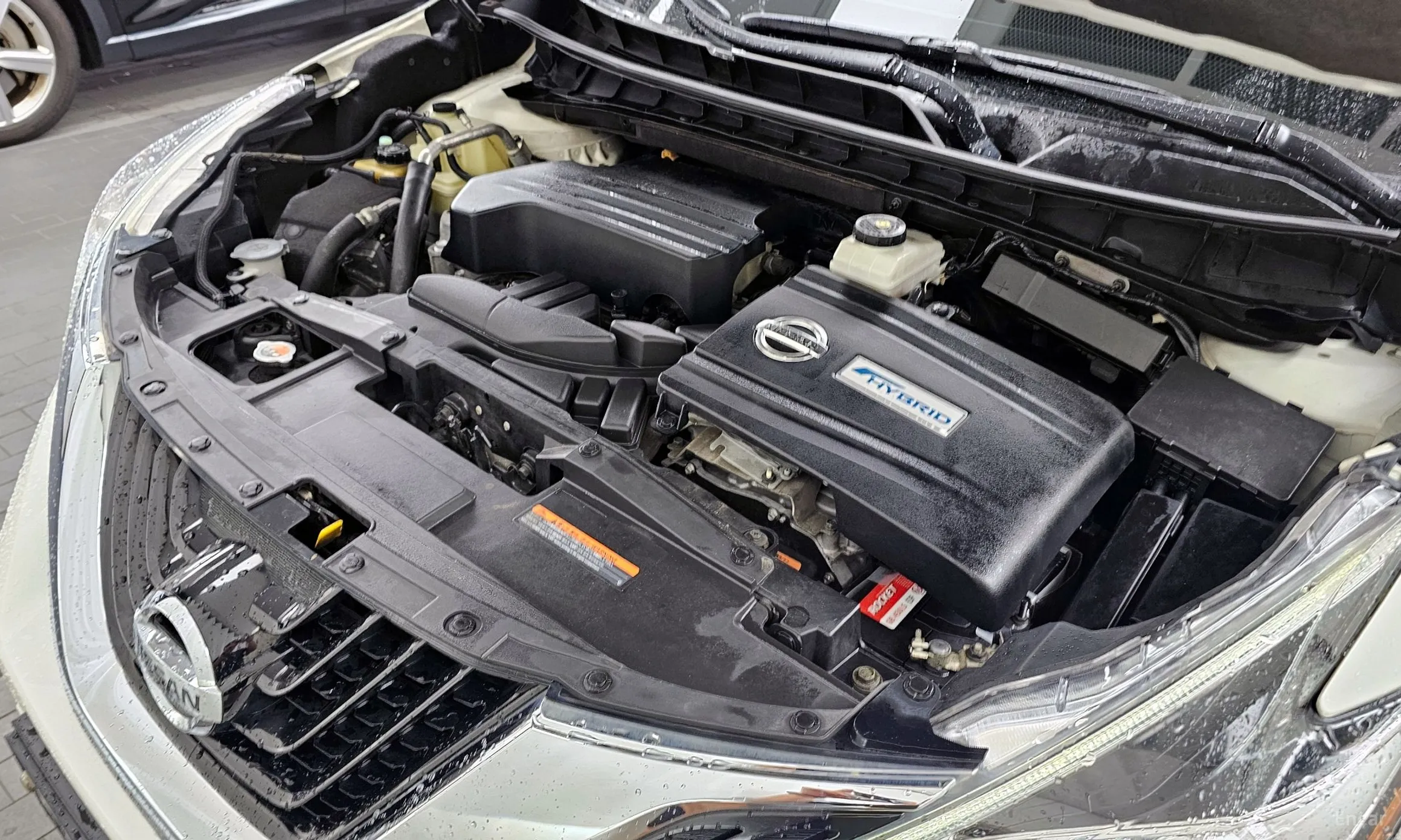 Nissan Murano (Z52) превью 6