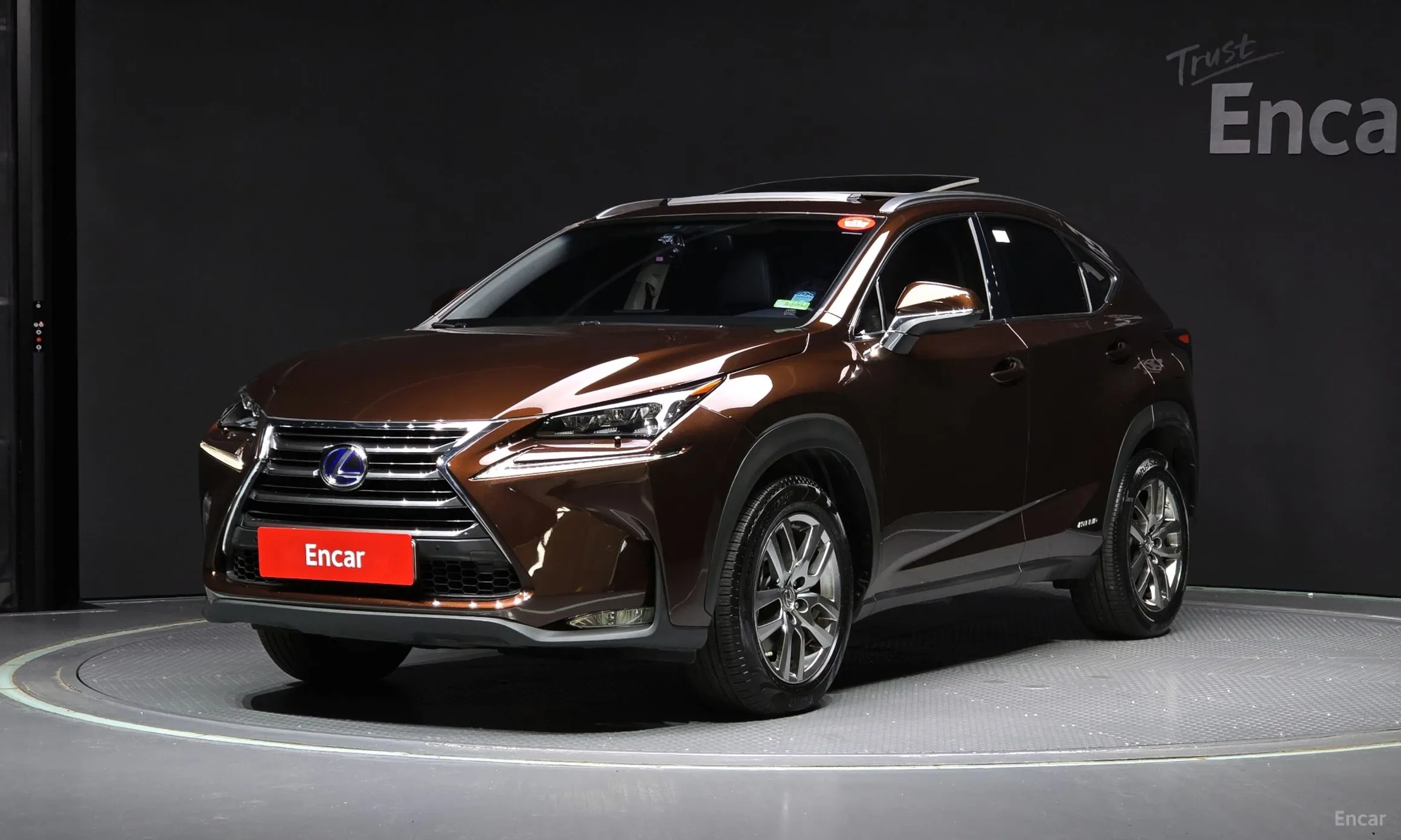 Lexus NX300h