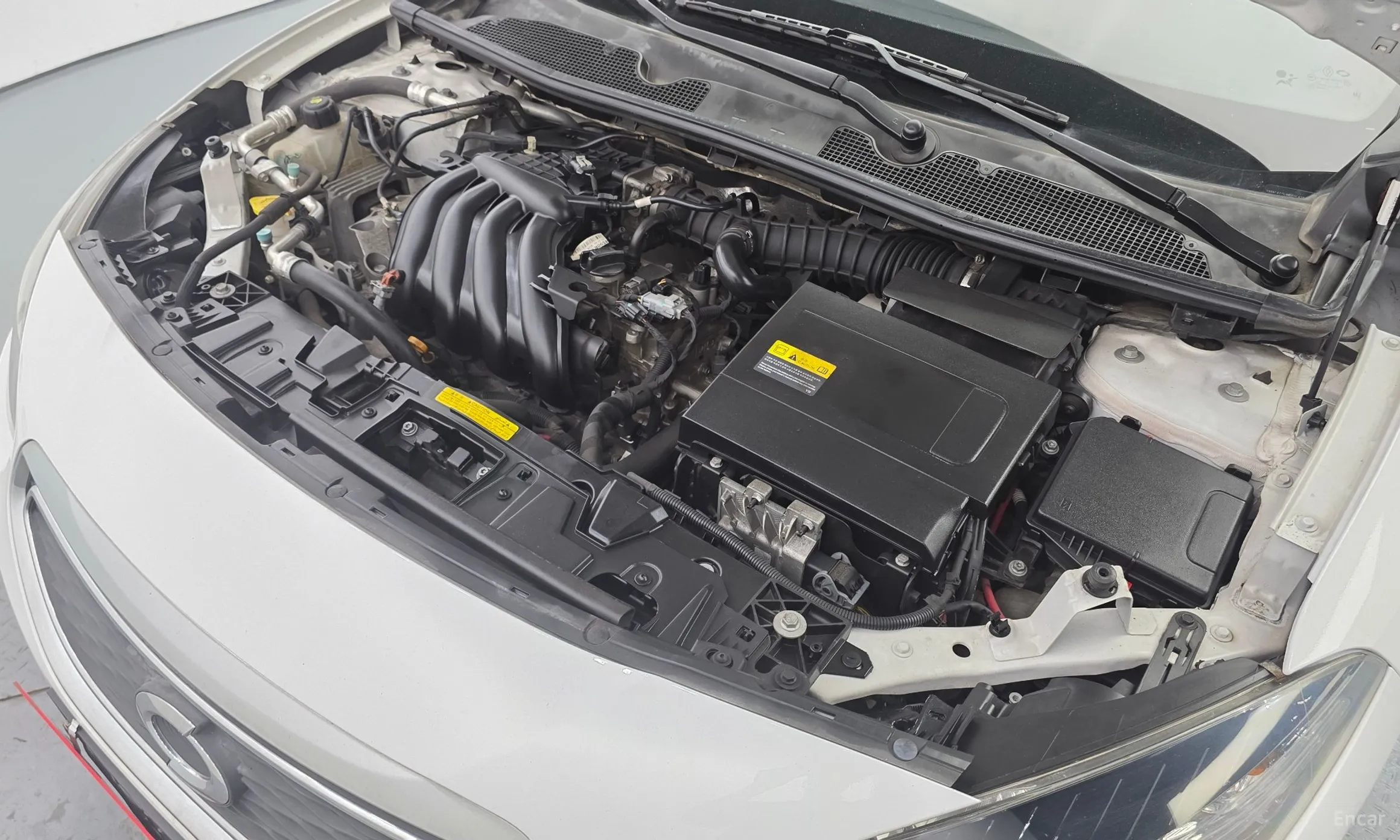 Renault Korea (Samsung) SM3 превью 6