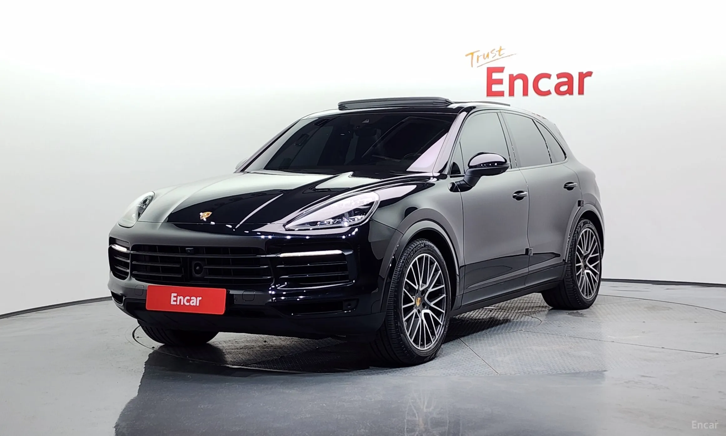 Cayenne (PO536)