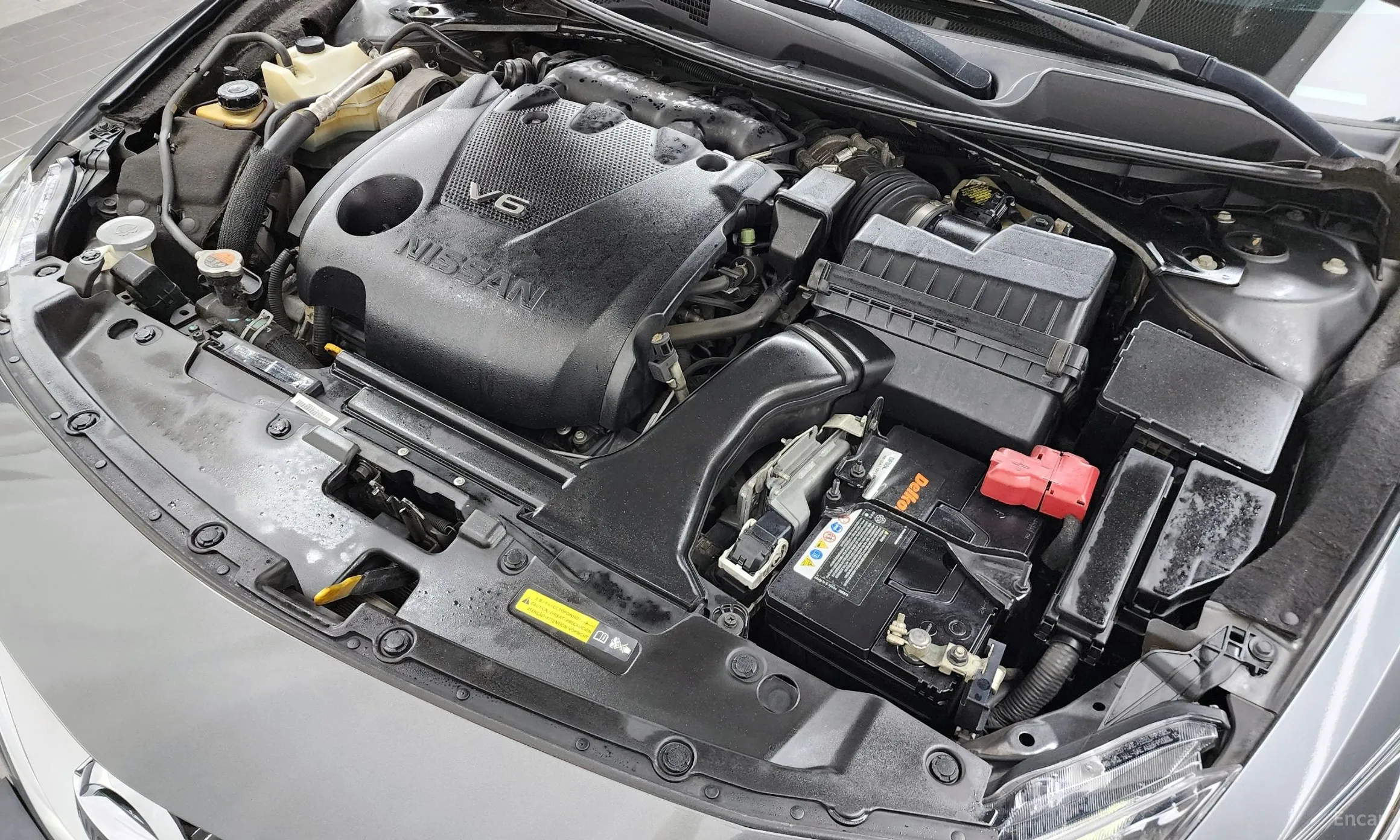 Nissan Maxima (A36) превью 6