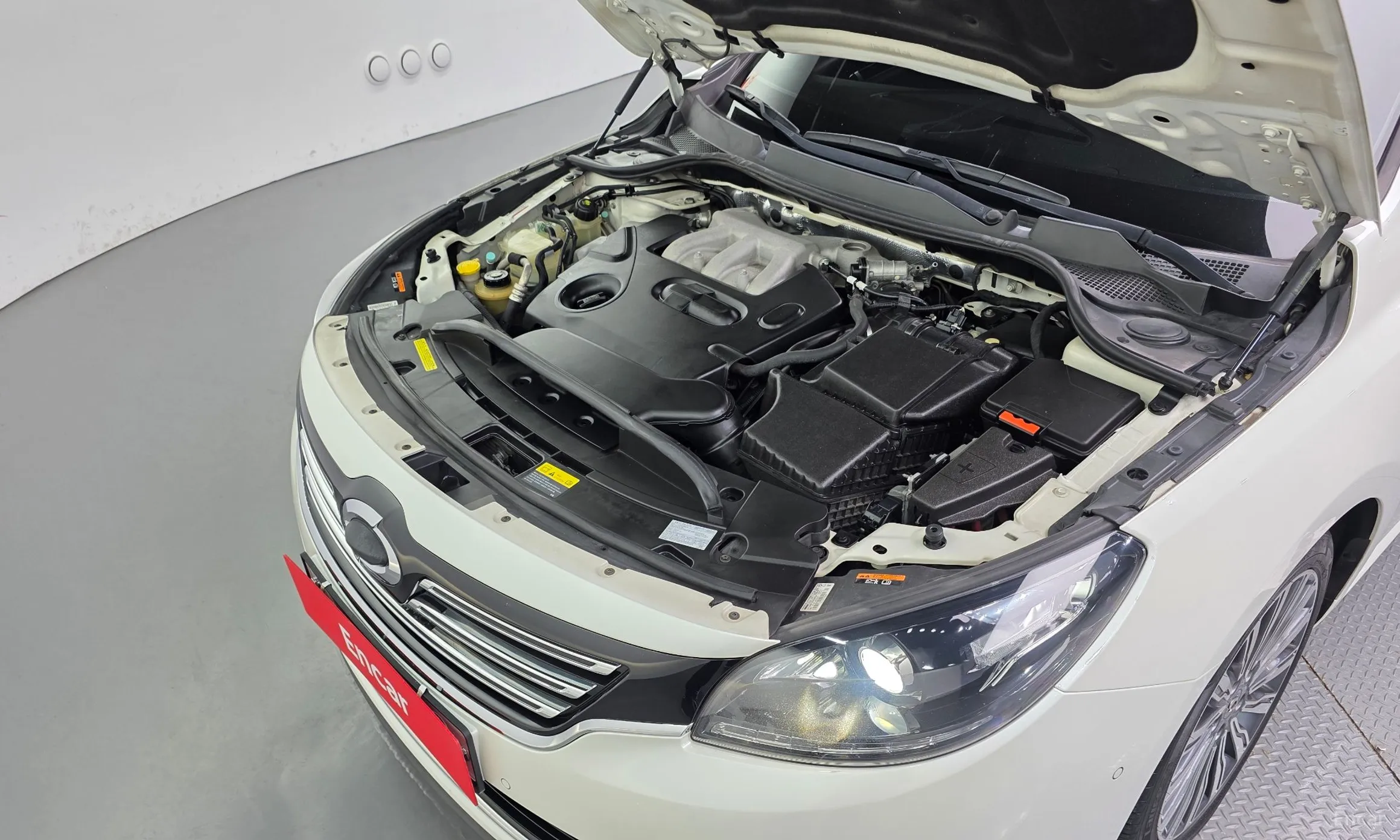 Renault Korea (Samsung) SM7 превью 6