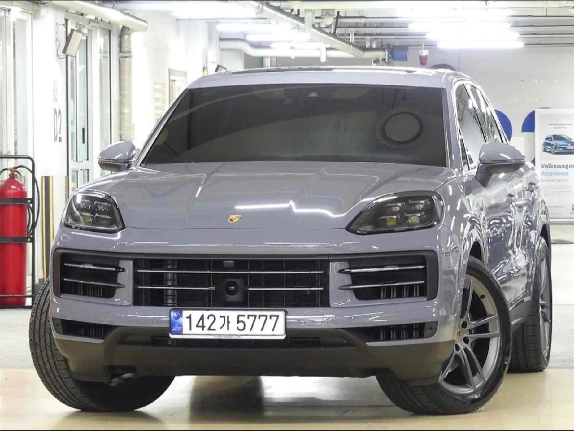 Cayenne (PO536)