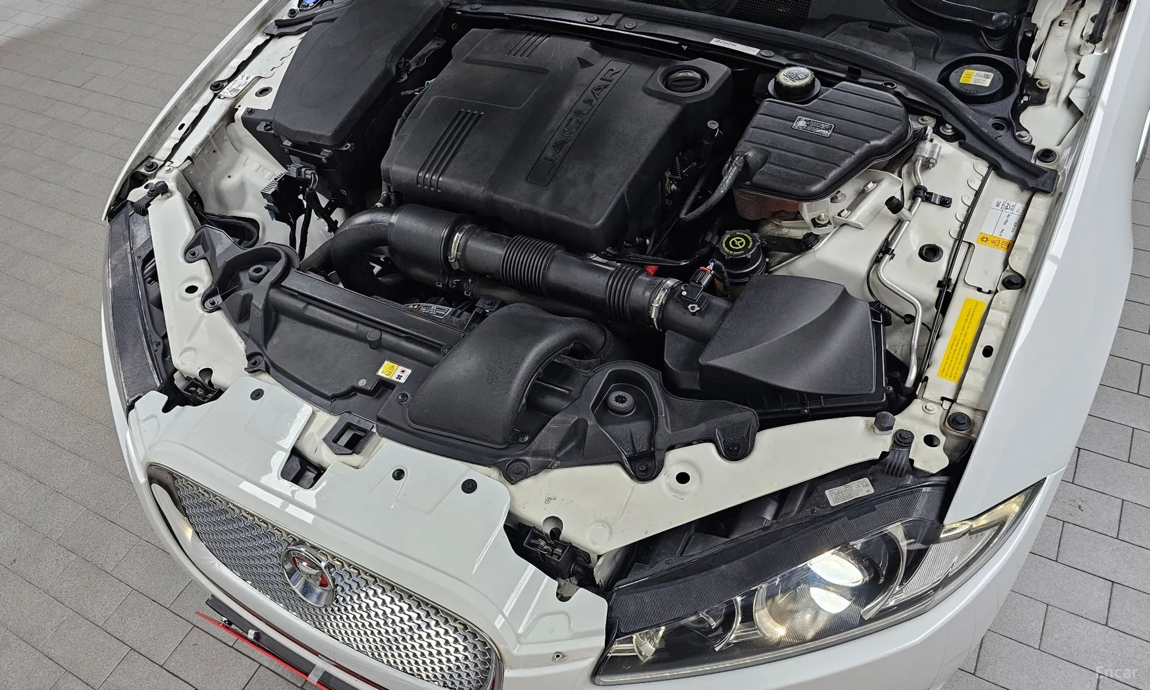 Jaguar New XF превью 6