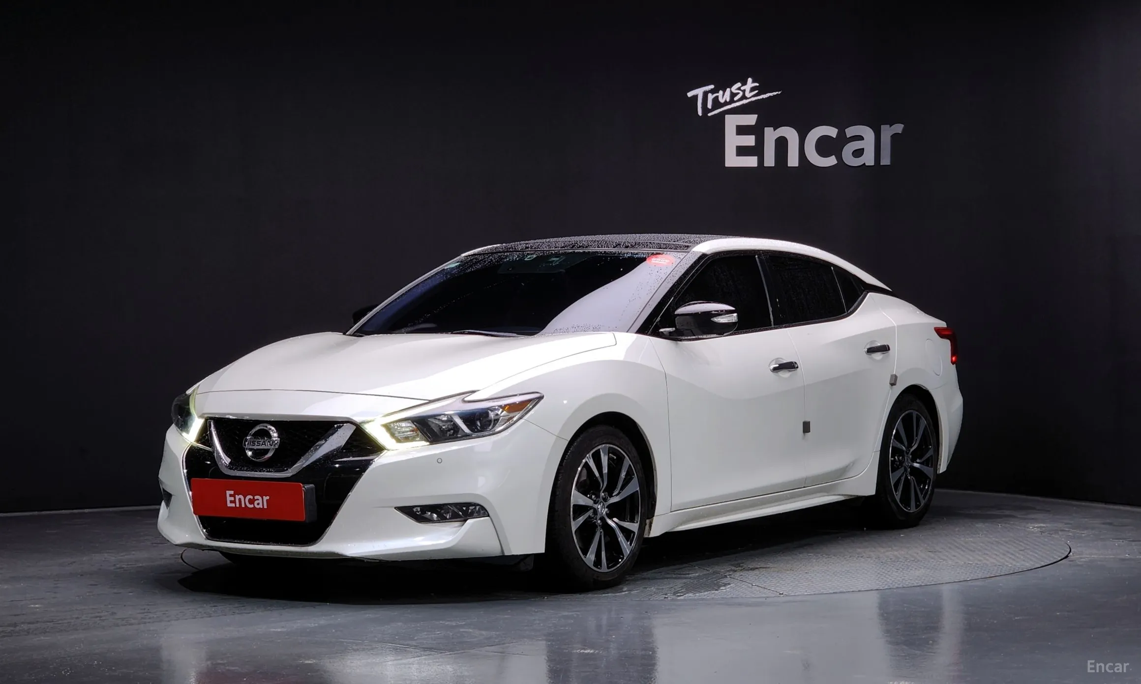 Maxima (A36)