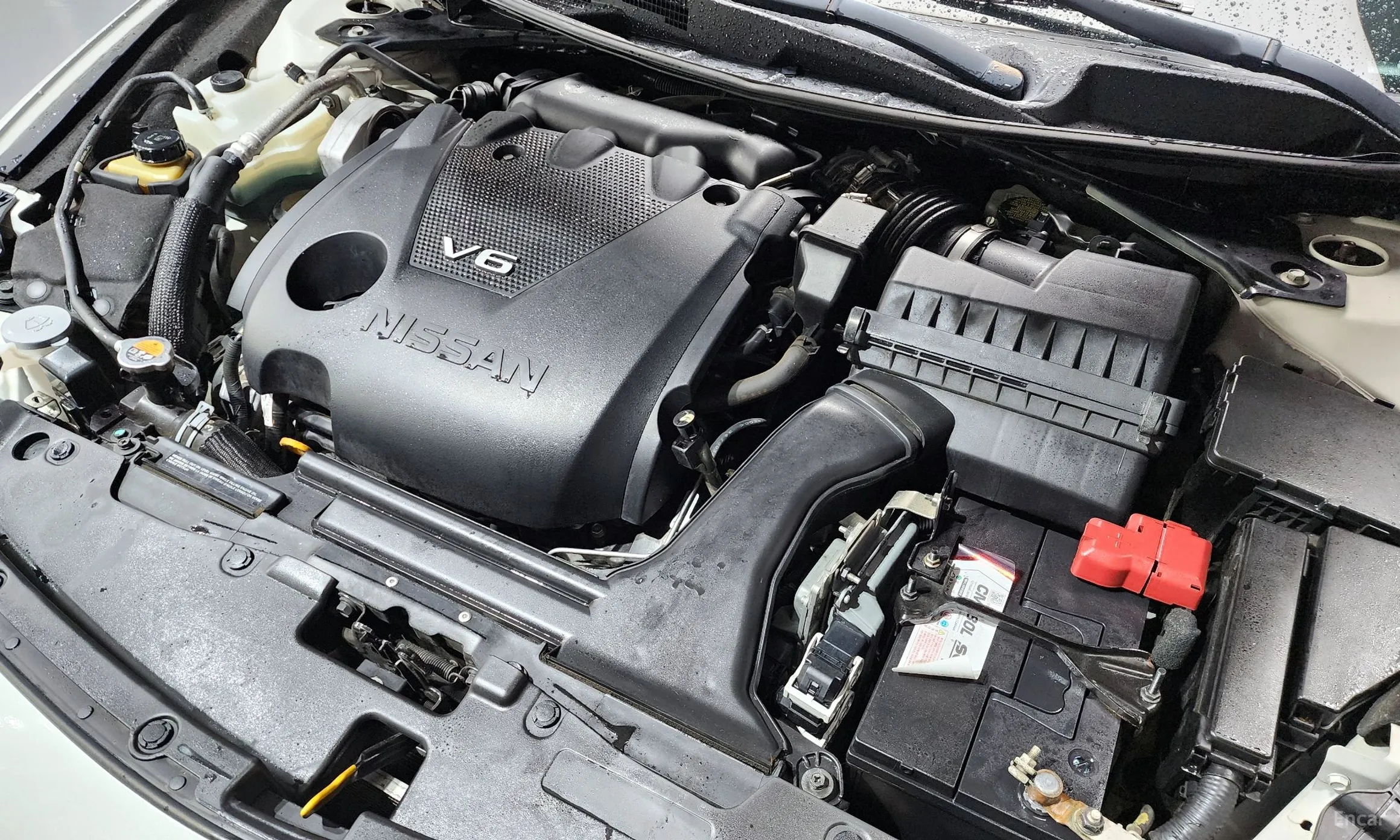 Nissan Maxima (A36) превью 6