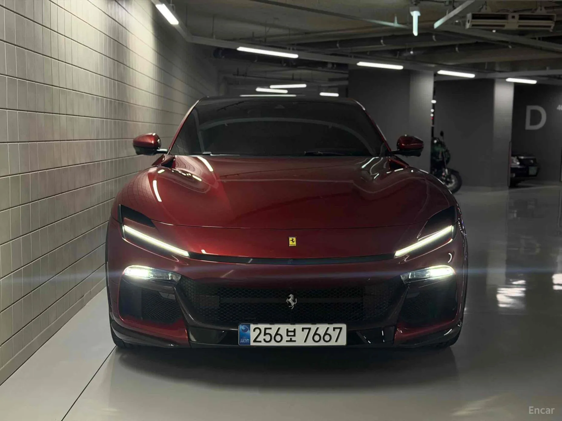 Ferrari Puro Sange