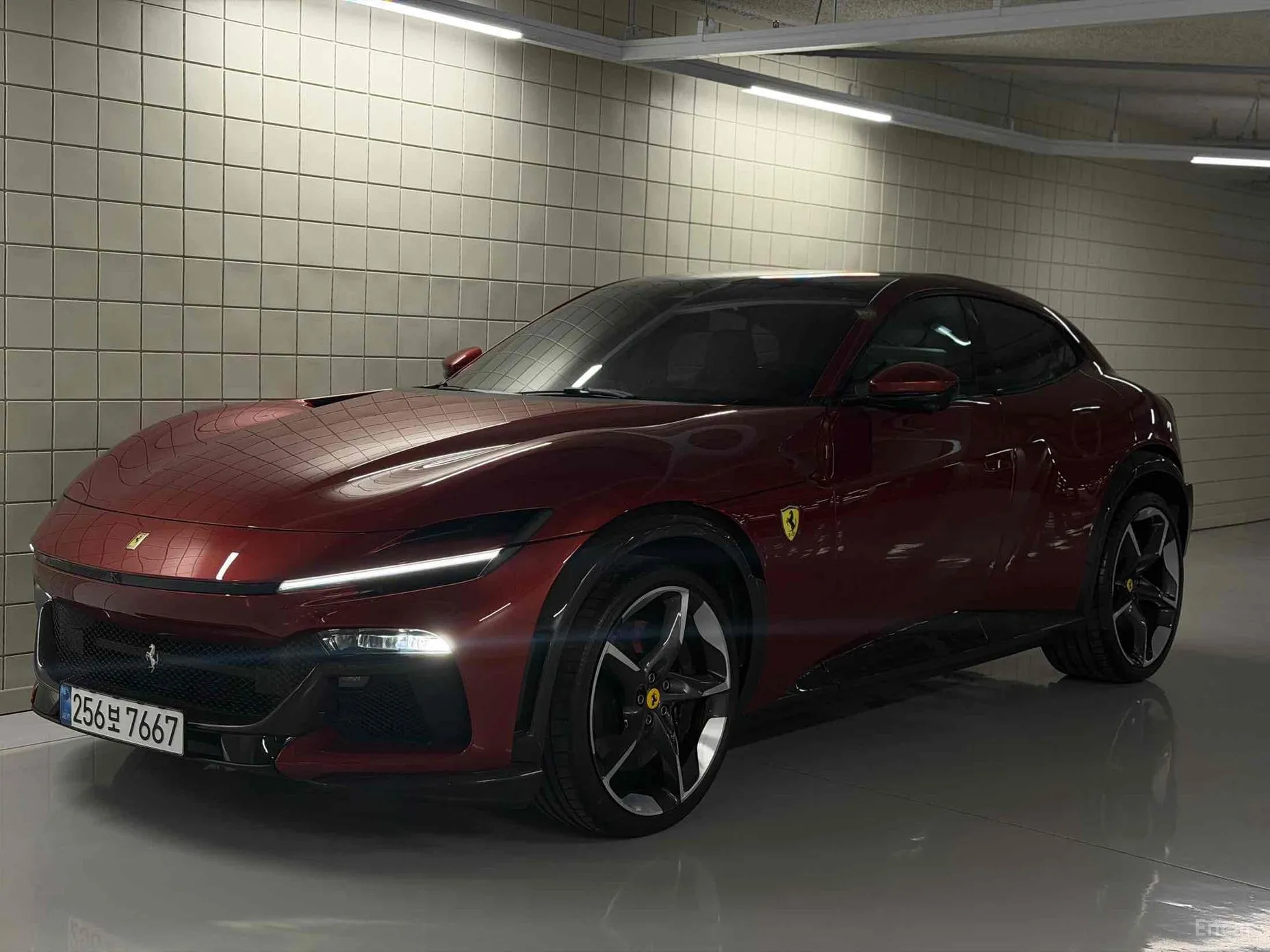 Ferrari Puro Sange