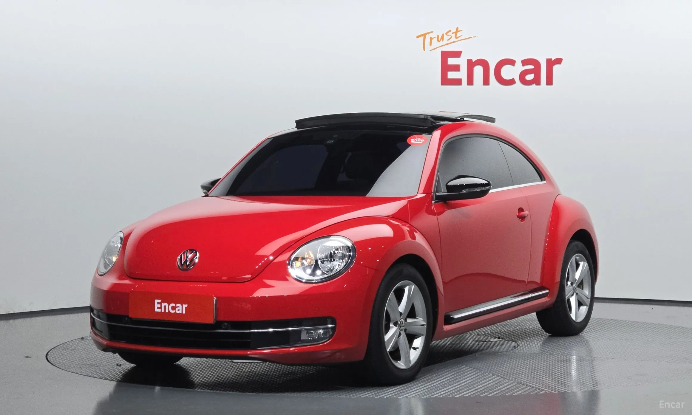 The Beetle