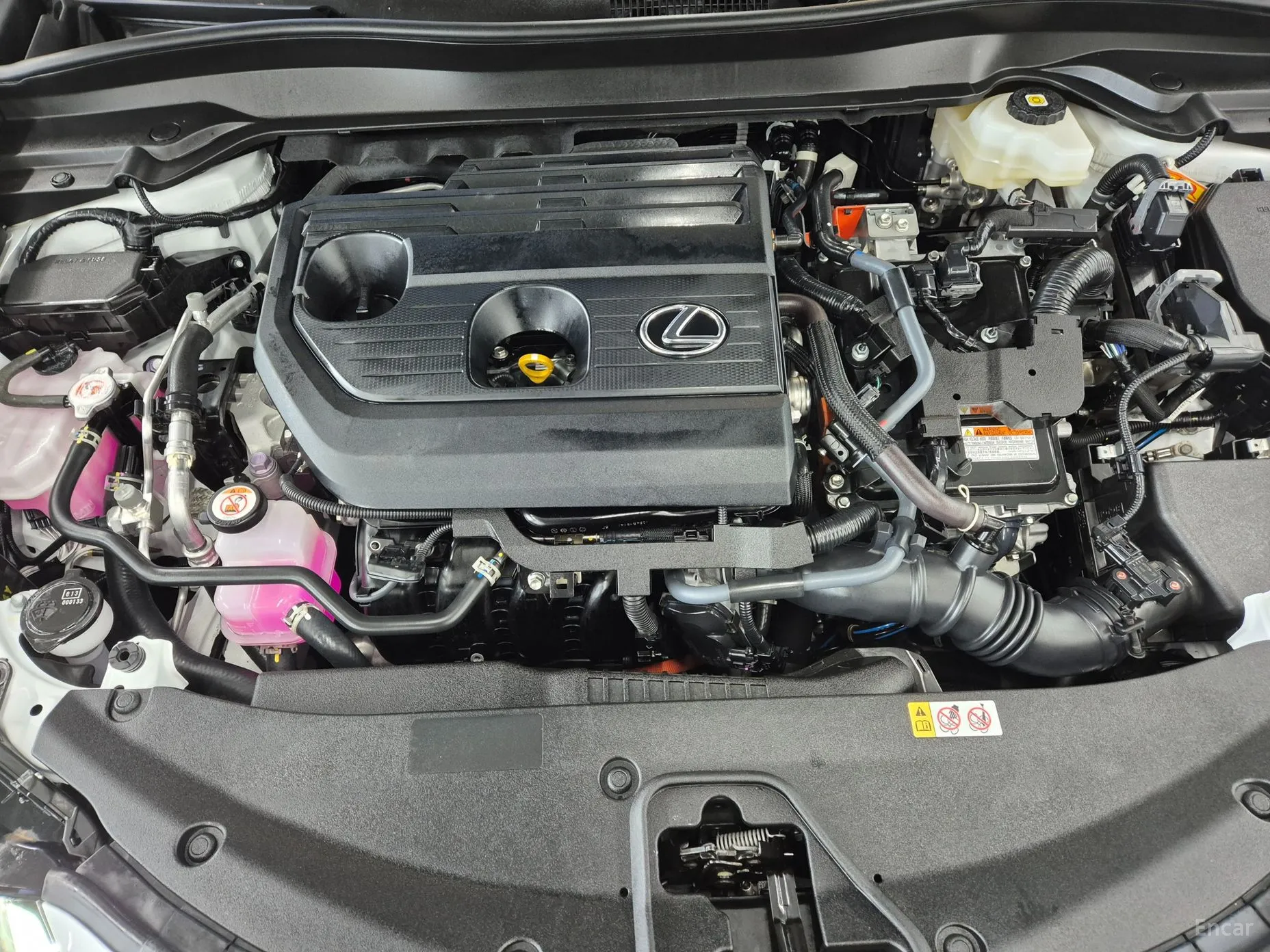 Lexus UX300h превью 6