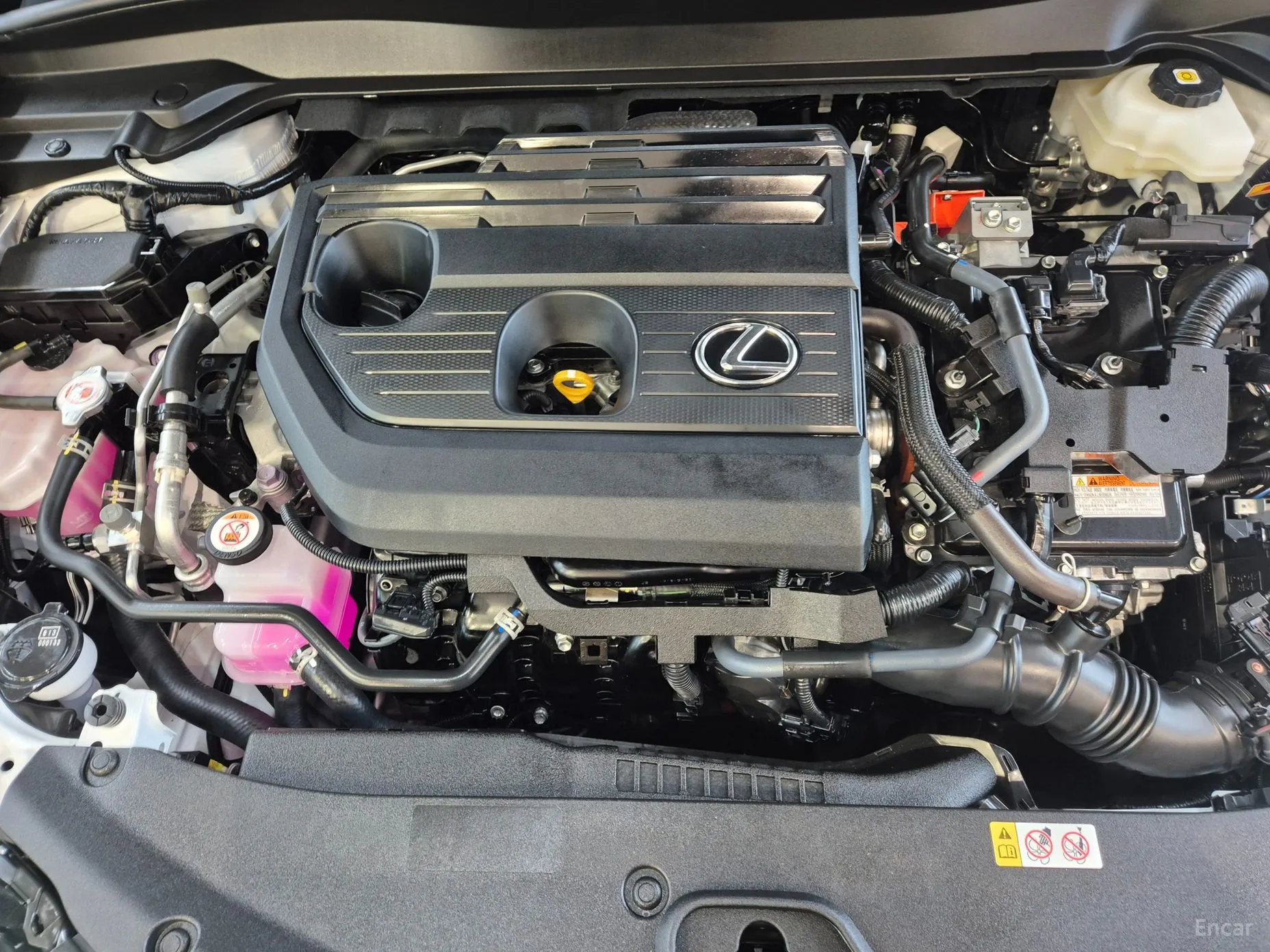 Lexus UX300h превью 6